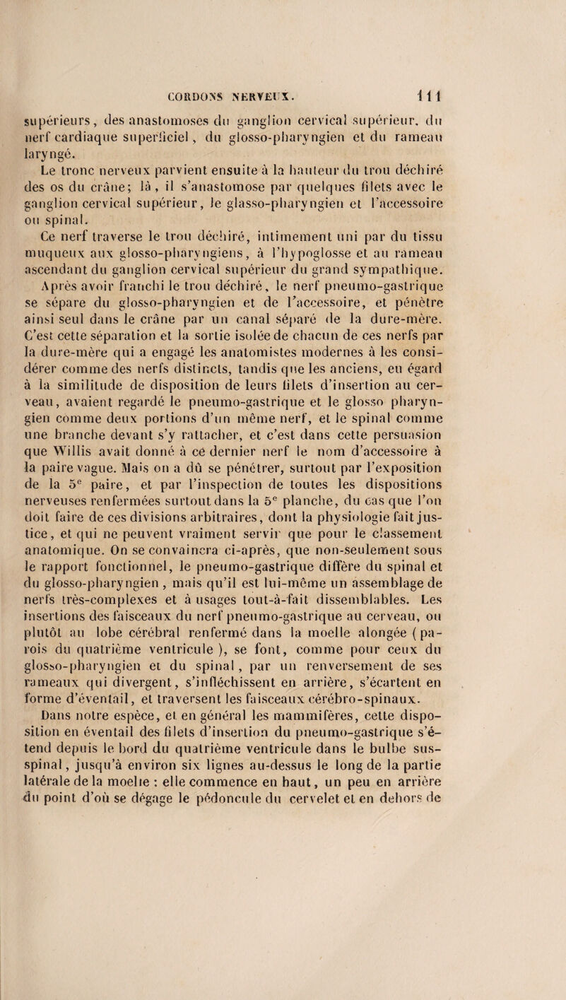 supérieurs, des anastomoses du ganglion cervical supérieur, du nerf cardiaque superficiel, du glosso-phary ngien et du rameau laryngé. Le tronc nerveux parvient ensuite à la hauteur du trou déchiré des os du crâne; là, il s’anastomose par quelques filets avec le ganglion cervical supérieur, le glasso-pharyngien et l'accessoire ou spinal. Ce nerf traverse le trou déchiré, intimement uni par du tissu muqueux aux glosso-pharyngiens, à l’hypoglosse et au rameau ascendant du ganglion cervical supérieur du grand sympathique. Après avoir franchi le trou déchiré, le nerf pneumo-gastrique se sépare du glosso-phary ngien et de L'accessoire, et pénètre ainsi seul dans le crâne par un canal séparé de la dure-mère. C’est cette séparation et la sortie isolée de chacun de ces nerfs par la dure-mère qui a engagé les anatomistes modernes à les consi¬ dérer comme des nerfs distincts, tandis que les anciens, eu égard à la similitude de disposition de leurs filets d’insertion au cer¬ veau, avaient regardé le pneumo-gastrique et le glosso pharyn¬ gien comme deux portions d’un même nerf, et le spinal comme une branche devant s’y rattacher, et c’est dans cette persuasion que Wi 1 lis avait donné à ce dernier nerf le nom d’accessoire à la paire vague. Mais on a dû se pénétrer, surtout par l’exposition de la 5e paire, et par l’inspection de toutes les dispositions nerveuses renfermées surtout dans la 5e planche, du cas que l’on doit faire de ces divisions arbitraires, dont la physiologie fait jus¬ tice, et qui ne peuvent vraiment servir que pour le classement anatomique. On se convaincra ci-après, que non-seulement sous le rapport fonctionnel, le pneumo-gastrique diffère du spinal et du glosso-phary ngien , mais qu’il est lui-même un assemblage de nerfs très-complexes et à usages tout-à-fait dissemblables. Les insertions des faisceaux du nerf pneumo-gastrique ait cerveau, ou plutôt au lobe cérébral renfermé dans la moelle alongée ( pa¬ rois du quatrième ventricule ), se font, comme pour ceux du glosso-pharyngien et du spinal, par un renversement de ses rameaux qui divergent, s’infléchissent en arrière, s’écartent en forme d’éventail, et traversent les faisceaux cérébro-spinaux. Dans notre espèce, et en général les mammifères, cette dispo¬ sition en éventail des filets d’insertion du pneumo-gastrique s’é¬ tend depuis le bord du quatrième ventricule dans le bulbe sus- spinal, jusqu’à environ six lignes au-dessus le long de la partie latérale de la moelle : elle commence en haut, un peu en arrière du point d’où se dégage le pédoncule du cervelet et en dehors de