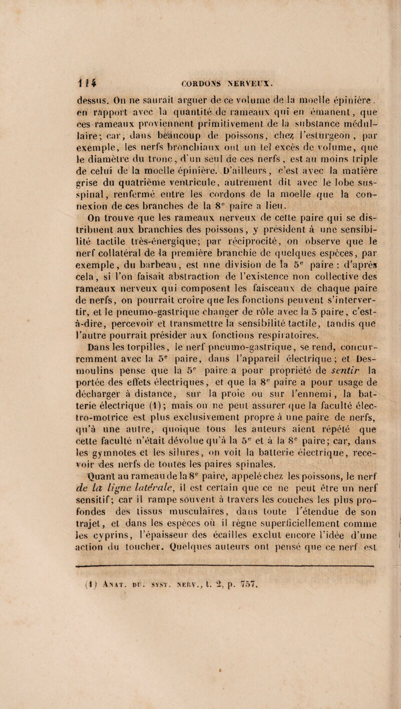 dessus. On ne saurait arguer de ce volume de la moelle épinière . en rapport avec la quantité de rameaux qui en émanent, que ces rameaux proviennent primitivement de la substance médul¬ laire; car, dans beaucoup de poissons, chez; l’esturgeon , par exemple, les nerfs bronchiaux ont un tel excès de volume, que le diamètre du tronc, d'un seul de ces nerfs, est au moins triple de celui de la moelle épinière. D’ailleurs, c’est avec la matière grise du quatrième ventricule, autrement dit avec le lobe sus- spinal, renfermé entre les cordons de la moelle que la con¬ nexion de ces branches de la Sp paire a lieu. On trouve que les rameaux nerveux de cette paire qui se dis¬ tribuent aux branchies des poissons, y président à une sensibi¬ lité tactile très-énergique; par réciprocité, on observe que le nerf collatéral de la première branchie de quelques espèces, par exemple, du barbeau, est une division de la 5e paire : d’après cela, si l’on faisait abstraction de l’existence non collective des rameaux nerveux qui composent les faisceaux de chaque paire de nerfs, on pourrait croire que les fonctions peuvent s’interver¬ tir, et le pneumo-gastrique changer de rôle avec la 5 paire, c’est- à-dire, percevoir et transmettre la sensibilité tactile, tandis que l’autre pourrait présider aux fonctions respiratoires. Dans les torpilles, le nerf pneumo-gastrique, se rend, concur¬ remment avec la 5e paire, dans l’appareil électrique ; et Des¬ moulins pense que la 5e paire a pour propriété de sentir la portée des effets électriques, et que la 8e paire a pour usage de décharger à distance, sur la proie ou sur l’ennemi, la bat¬ terie électrique (1); mais on ne peut assurer que la faculté élec¬ tro-motrice est plus exclusivement propre à une paire de nerfs, qu’à une autre, quoique tous les auteurs aient répété que cette faculté n’était dévolue qu’à la 5e et à la 8e paire; car, dans les gymnotes et les silures, on voit la batterie électrique, rece¬ voir des nerfs de toutes les paires spinales. Quant au rameau de la 8e paire, appelé chez les poissons, le nerf de La ligne latérale, il est certain que ce ne peut être un nerf sensitif; car il rampe souvent à travers les couches les plus pro¬ fondes des tissus musculaires, dans toute l’étendue de son trajet, et dans les espèces où il règne superficiellement comme les cyprins, l’épaisseur des écailles exclut encore l’idée d’une action du toucher. Quelques auteurs ont pensé que ce nerf est (4) ÀNAT. DC. SYSÏ. NEftY., t. % p. 757.