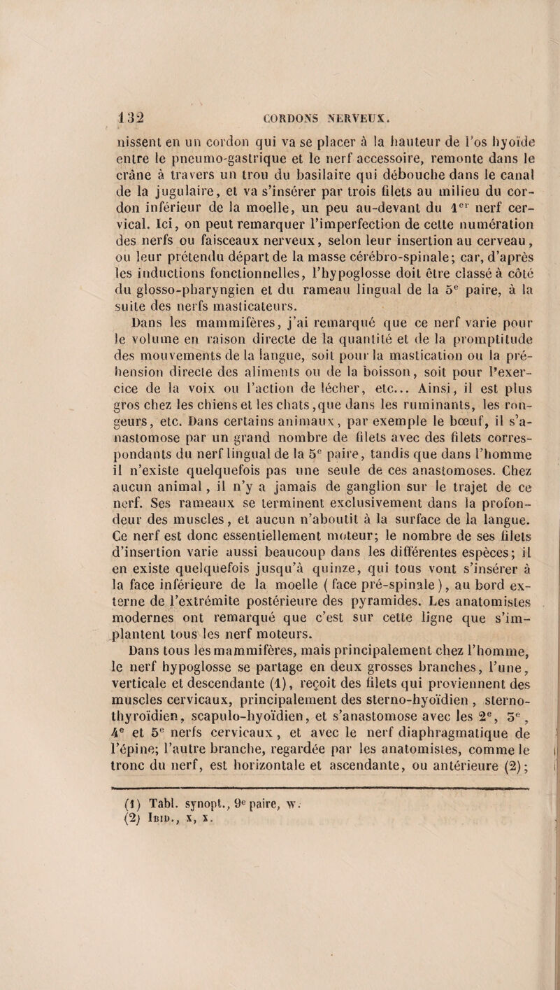 nissent en un cordon qui va se placer à la hauteur de l’os hyoïde entre le pneumo-gastrique et le nerf accessoire, remonte dans le crâne à travers un trou du basilaire qui débouche dans le canal de la jugulaire, et va s’insérer par trois filets au milieu du cor¬ don inférieur de la moelle, un peu au-devant du 1er nerf cer¬ vical. Ici, on peut remarquer l’imperfection de celte numération des nerfs ou faisceaux nerveux, selon leur insertion au cerveau, ou leur prétendu départ de la masse cérébro-spinale; car, d’après les inductions fonctionnelles, l’hypoglosse doit être classé à côté du glosso-pharyngien et du rameau lingual de la 5e paire, à la suite des nerfs masticateurs. Dans les mammifères, j’ai remarqué que ce nerf varie pour le volume en raison directe de la quantité et de la promptitude des mouvements de la langue, soit pour la mastication ou la pré¬ hension directe des aliments ou de la boisson, soit pour l’exer¬ cice de la voix ou l’action de lécher, etc... Ainsi, il est plus gros chez les chiens et les chats,que dans les ruminants, les ron¬ geurs, etc. Dans certains animaux, par exemple le bœuf, il s’a¬ nastomose par un grand nombre de filets avec des filets corres¬ pondants du nerf lingual de la 5e paire, tandis que dans l’homme il n’existe quelquefois pas une seule de ces anastomoses. Chez aucun animal, il n’y a jamais de ganglion sur le trajet de ce nerf. Ses rameaux se terminent exclusivement dans la profon¬ deur des muscles, et aucun n’aboutit à la surface de la langue. Ce nerf est donc essentiellement moteur; le nombre de ses filets d’insertion varie aussi beaucoup dans les différentes espèces; il en existe quelquefois jusqu’à quinze, qui tous vont s’insérer à la face inférieure de la moelle ( face pré-spinale ), au bord ex¬ terne de l’extrémite postérieure des pyramides. Les anatomistes modernes ont remarqué que c’est sur cette ligne que s’im¬ plantent tous les nerf moteurs. Dans tous les mammifères, mais principalement chez l’homme, le nerf hypoglosse se partage en deux grosses branches, l’une, verticale et descendante (1), reçoit des filets qui proviennent des muscles cervicaux, principalement des sterno-hyoïdien , sterno- thyroïdien, scapuio-hyoïdien, et s’anastomose avec les 2e, 5e, 4e et 5e neris cervicaux, et avec le nerf diaphragmatique de l’épine; l’autre branche, regardée par les anatomistes, comme le tronc du nerf, est horizontale et ascendante, ou antérieure (2); (î) Tabl. synopt., 9e paire, \v. (2) Ibid., x, x.