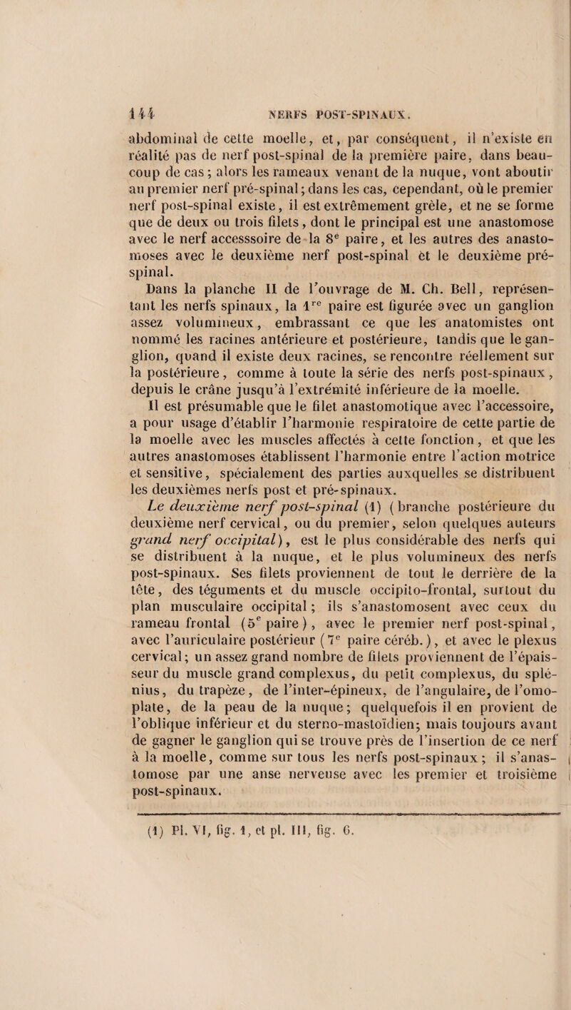 abdominal de cette moelle, et, par conséquent, il n’existe en réalité pas de nerf post-spinal de la première paire, dans beau¬ coup de cas ; alors les rameaux venant de la nuque, vont aboutir an premier nerf pré-spinal ; dans les cas, cependant, où le premier nerf post-spinal existe, il est extrêmement grêle, et ne se forme que de deux ou trois filets, dont le principal est une anastomose avec le nerf accesssoire de la 8e paire, et les autres des anasto¬ moses avec le deuxième nerf post-spinal et le deuxième pré¬ spinal. Dans la planche II de l'ouvrage de M. Ch. Bell, représen¬ tant les nerfs spinaux, la lre paire est figurée avec un ganglion assez volumineux, embrassant ce que les anatomistes ont nommé les racines antérieure et postérieure, tandis que le gan¬ glion, quand il existe deux racines, se rencontre réellement sur la postérieure, comme à toute la série des nerfs post-spinaux, depuis le crâne jusqu’à l’extrémité inférieure de la moelle. Il est présumable que le filet anastomotique avec l’accessoire, a pour usage d’établir l'harmonie respiratoire de cette partie de la moelle avec les muscles affectés à cette fonction, et que les autres anastomoses établissent l’harmonie entre l’action motrice et sensitive, spécialement des parties auxquelles se distribuent les deuxièmes nerfs post et pré-spinaux. Le deuxieme nerf post-spinal (1) (branche postérieure du deuxième nerf cervical, ou du premier, selon quelques auteurs grand nerf occipital), est le plus considérable des nerfs qui se distribuent à la nuque, et le plus volumineux des nerfs post-spinaux. Ses filets proviennent de tout le derrière de la tête, des téguments et du muscle occipito-f’rontal, surtout du plan musculaire occipital ; ils s’anastomosent avec ceux du rameau frontal (5e paire), avec le premier nerf post-spinal, avec l’auriculaire postérieur ( 7e paire céréb. ), et avec le plexus cervical; un assez grand nombre de filets proviennent de l’épais¬ seur du muscle grand complexus, du petit complexus, du splé- nius, du trapèze, de l’inter-épineux, de l’angulaire, de l’omo¬ plate, de la peau de la nuque; quelquefois il en provient de l’oblique inférieur et du sterno-mastoïdien; mais toujours avant de gagner le ganglion qui se trouve près de l’insertion de ce nerf à la moelle, comme sur tous les nerfs post-spinaux; il s’anas¬ tomose par une anse nerveuse avec les premier et troisième post-spinaux. (1) PI. VI, fi g. 1, et pl. III, fig. 6.