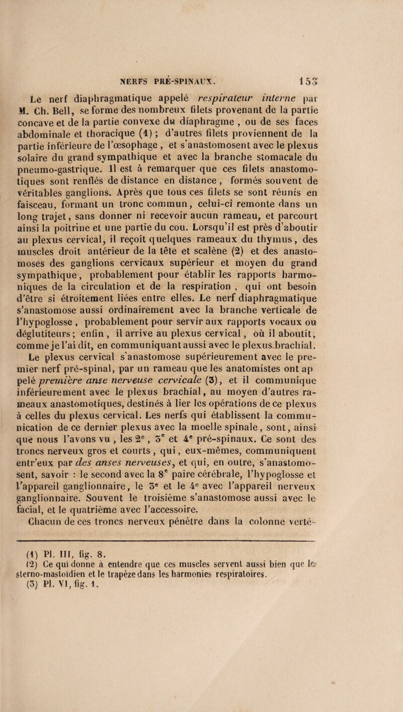 Le nerf diaphragmatique appelé respirateur interne par M. Ch. Bell, se forme des nombreux filets provenant de la partie concave et de la partie convexe du diaphragme , ou de ses faces abdominale et thoracique (4) ; d’autres filets proviennent de la partie inférieure de l’œsophage , et s’anastomosent avec le plexus solaire du grand sympathique et avec la branche stomacale du pneumo-gastrique. Il est à remarquer que ces filets anastomo¬ tiques sont renflés de distance en distance, formés souvent de véritables ganglions. Après que tous ces filets se sont réunis en faisceau, formant un tronc commun, celui-ci remonte dans un long trajet, sans donner ni recevoir aucun rameau, et parcourt ainsi la poitrine et une partie du cou. Lorsqu’il est près d’aboutir au plexus cervical, il reçoit quelques rameaux du thymus, des muscles droit antérieur de la tête et scalène (2) et des anasto¬ moses des ganglions cervicaux supérieur et moyen du grand sympathique, probablement pour établir les rapports harmo¬ niques de la circulation et de la respiration , qui ont besoin d’être si étroitement liées entre elles. Le nerf diaphragmatique s’anastomose aussi ordinairement avec la branche verticale de l’hypoglosse , probablement pour servir aux rapports vocaux ou déglutiteurs; enfin , il arrive au plexus cervical, où il aboutit, comme je l’ai dit, en communiquant aussi avec le plexus brachial. Le plexus cervical s’anastomose supérieurement avec le pre¬ mier nerf pré-spinal, par un rameau que les anatomistes ont ap pelé première anse nerveuse cervicale (3), et il communique inférieurement avec le plexus brachial, au moyen d’autres ra¬ meaux anastomotiques, destinés à lier les opérations de ce plexus à celles du plexus cervical. Les nerfs qui établissent la commu¬ nication de ce dernier plexus avec la moelle spinale, sont, ainsi que nous l’avons vu , les 2e, 5e et 4e pré-spinaux. Ce sont des troncs nerveux gros et courts , qui, eux-mêmes, communiquent entr’eux par des anses nerveuses, et qui, en outre, s’anastomo¬ sent, savoir : le second avec la 8e paire cérébrale, l’hypoglosse et l’appareil ganglionnaire, le 5e et le 4e avec l’appareil nerveux ganglionnaire. Souvent le troisième s’anastomose aussi avec le facial, et le quatrième avec l’accessoire. Chacun de ces troncs nerveux pénètre dans la colonne verté- (1) PI. III, fig. 8. (2) Ce qui donne à entendre que ces muscles servent aussi bien que Le; sterno-mastoïdien et le trapèze dans les harmonies respiratoires.