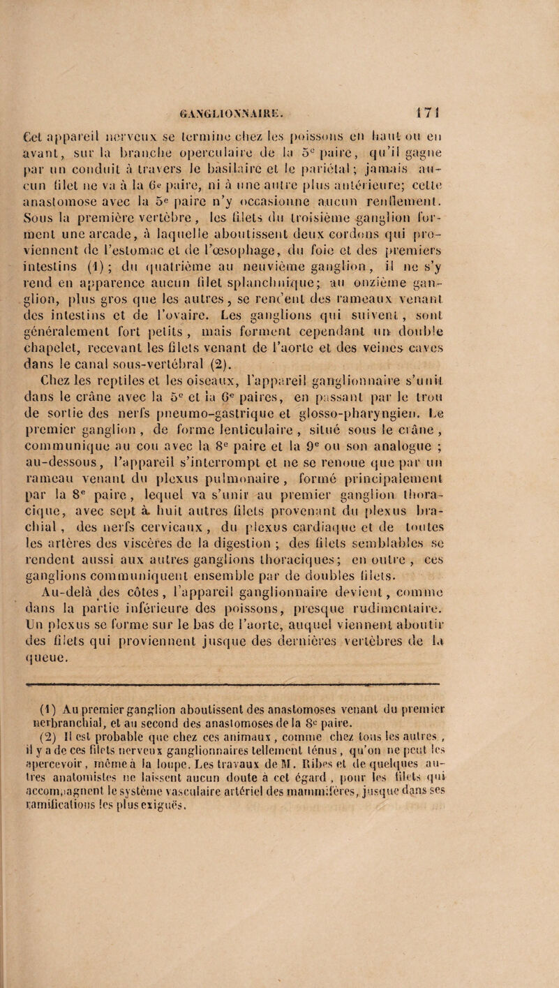 Cet appareil nerveux se termine chez les poissons en liant ou en avant, sur la branche operculaire de la 5e paire, qu’il gagne par un conduit à travers le basilaire et le pariétal; jamais au¬ cun tilet ne va à la Ce paire, ni à une autre plus antérieure; celte anastomose avec la 5e paire n’y occasionne aucun rendement. Sous la première vertèbre, les filets du troisième ganglion for¬ ment une arcade, à laquelle aboutissent deux cordons qui pro¬ viennent de l’estomac et de l’œsophage, du foie et des premiers intestins (1); du quatrième au neuvième ganglion , il ne s’y rend en apparence aucun filet splanchnique; au onzième gan¬ glion, plus gros que les autres, se rendent des rameaux venant des intestins et de l’ovaire. Les ganglions qui suivent, sont généralement fort petits , mais forment cependant un double chapelet, recevant les filets venant de l’aorte et des veines caves dans le canal sous-vertébral (2). Chez les reptiles et les oiseaux, l’appareil ganglionnaire s’unit dans le crâne avec la 5° et iu 6e paires, en passant par le trou de sortie des nerfs pneumo-gastrique et glosso-pharyngien. Le premier ganglion , cle forme lenticulaire , situé sous le crâne , communique au cou avec la 8e paire et la 9e ou son analogue ; au-dessous, l’appareil s’interrompt et ne se renoue que par un rameau venant du plexus pulmonaire, formé principalement par la 8e paire, lequel va s’unir au premier ganglion thora¬ cique, avec sept à. huit autres filets provenant du plexus bra¬ chial , des nerfs cervicaux, du plexus cardiaque et de toutes les artères des viscères de la digestion ; des filets semblables se rendent aussi aux autres ganglions thoraciques; en outre , ces ganglions communiquent ensemble par de doubles filets. Au-delà des côtes, l’appareil ganglionnaire devient, comme dans la partie inférieure des poissons, presque rudimentaire. Un plexus se forme sur le bas de l’aorte, auquel viennent aboutir des filets qui proviennent jusque des dernières vertèbres de lu queue. (1) Au premier ganglion aboutissent des anastomoses venant du premier nerbranchial, et au second des anastomoses de la 8e paire. (2) Il est probable que chez ces animaux, comme chez tous les autres , >! y a de ces filets nerveux ganglionnaires tellement ténus, qu’on ne peut les apercevoir, mêmeà la loupe. Les travaux deM. Ribeset de quelques au¬ tres anatomistes ne laissent aucun doute à cct égard , pour les filets qui accompagnent le système vasculaire artériel des mammifères, jusque dans ses ramifications les plus exiguës.