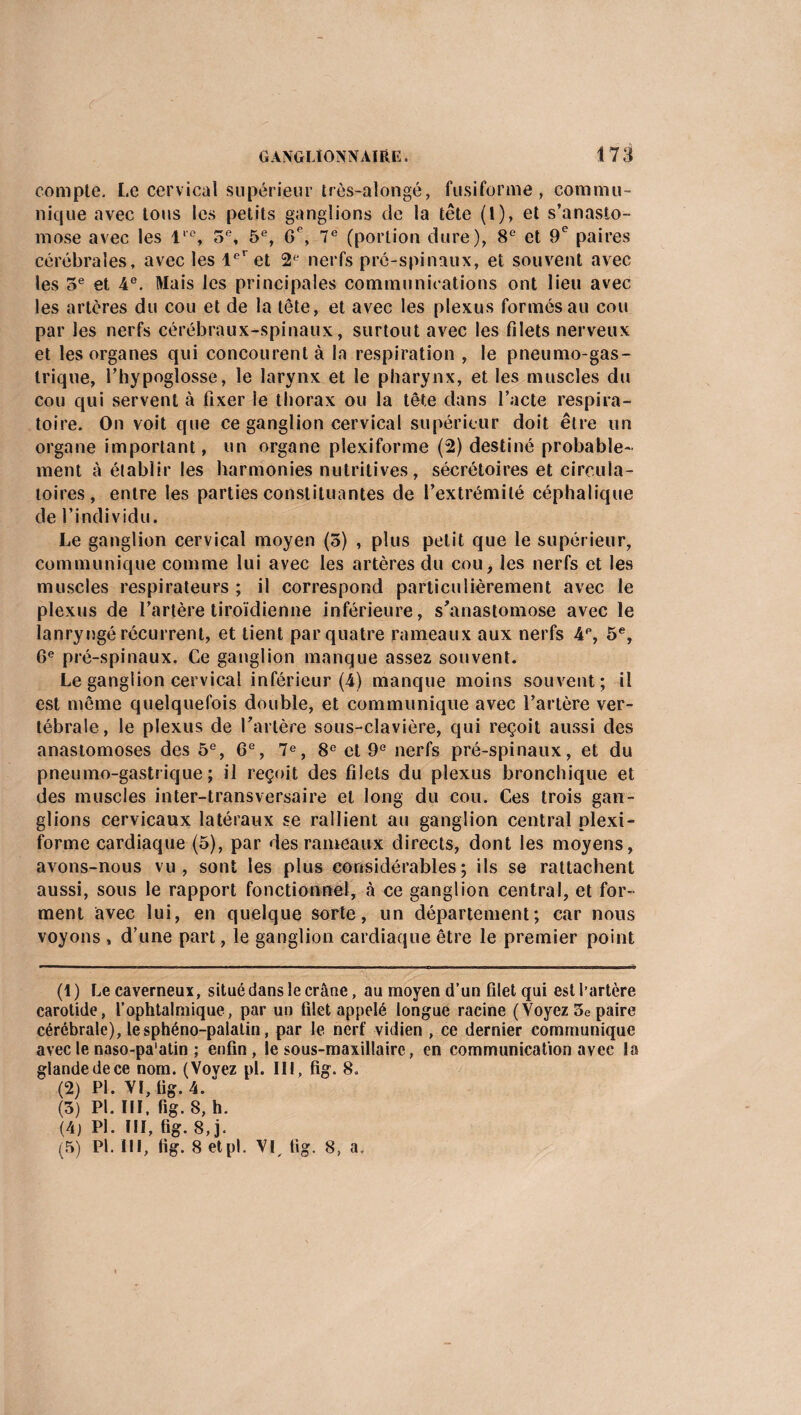 compte. Le cervical supérieur très-alongé, fusiforme , commu¬ nique avec tons les petits ganglions de la tête (1), et s’anasto¬ mose avec les l'°, 5e, 5e, G°, 7e (portion dure), 8e et 9e paires cérébrales, avec les Ie’ et 2e nerfs pré-spinaux, et souvent avec les 5e et 4e. Mais les principales communications ont lieu avec les artères du cou et de la tête, et avec les plexus formés au cou par les nerfs cérébraux-spinaux, surtout avec les filets nerveux et les organes qui concourent à la respiration , le pneumogas¬ trique, l’hypoglosse, le larynx et le pharynx, et les muscles du cou qui servent à fixer le thorax ou la tête dans l’acte respira¬ toire. On voit que ce ganglion cervical supérieur doit être un organe important, un organe plexiforme (2) destiné probable¬ ment à établir les harmonies nutritives, sécrétoires et circula¬ toires, entre les parties constituantes de l’extrémité céphalique de l’individu. Le ganglion cervical moyen (5) , plus petit que le supérieur, communique comme lui avec les artères du cou, les nerfs et les muscles respirateurs ; il correspond particulièrement avec le plexus de l’artère tiroïdienne inférieure, s'anastomose avec le lanryngé récurrent, et tient par quatre rameaux aux nerfs 4P, 5e, 6e pré-spinaux. Ce ganglion manque assez souvent. Le ganglion cervical inférieur (4) manque moins souvent; il est même quelquefois double, et communique avec l’artère ver¬ tébrale, le plexus de l'artère sous-clavière, qui reçoit aussi des anastomoses des 5e, 6e, 7e, 8e et 9e nerfs pré-spinaux, et du pneumo-gast!ique ; il reçoit des filets du plexus bronchique et des muscles inter-transversaire et long du cou. Ces trois gan¬ glions cervicaux latéraux se rallient au ganglion central plexi¬ forme cardiaque (5), par des rameaux directs, dont les moyens, avons-nous vu, sont les plus considérables; ils se rattachent aussi, sous le rapport fonctionnel, à ce ganglion central, et for¬ ment avec lui, en quelque sorte, un département; car nous voyons , d’une part , le ganglion cardiaque être le premier point (1) Le caverneux, situé dans le crâne, au moyen d’un filet qui est l’artère carotide, l’ophtalmique, par un filet appelé longue racine (Voyez 5e paire cérébrale), lesphéno-palalin, par le nerf vidien , ce dernier communique avec le naso-pa'atin ; enfin, le sous-maxillaire, en communication avec la glande de ce nom. (Voyez pl. III, fig. 8. (2) PL VI, fig. 4. (3) Pl. III, fig. 8, h. (4) PL III, fig. 8, j. (5) Pl. III, fig. 8 etpl. VL fig- 8, a.