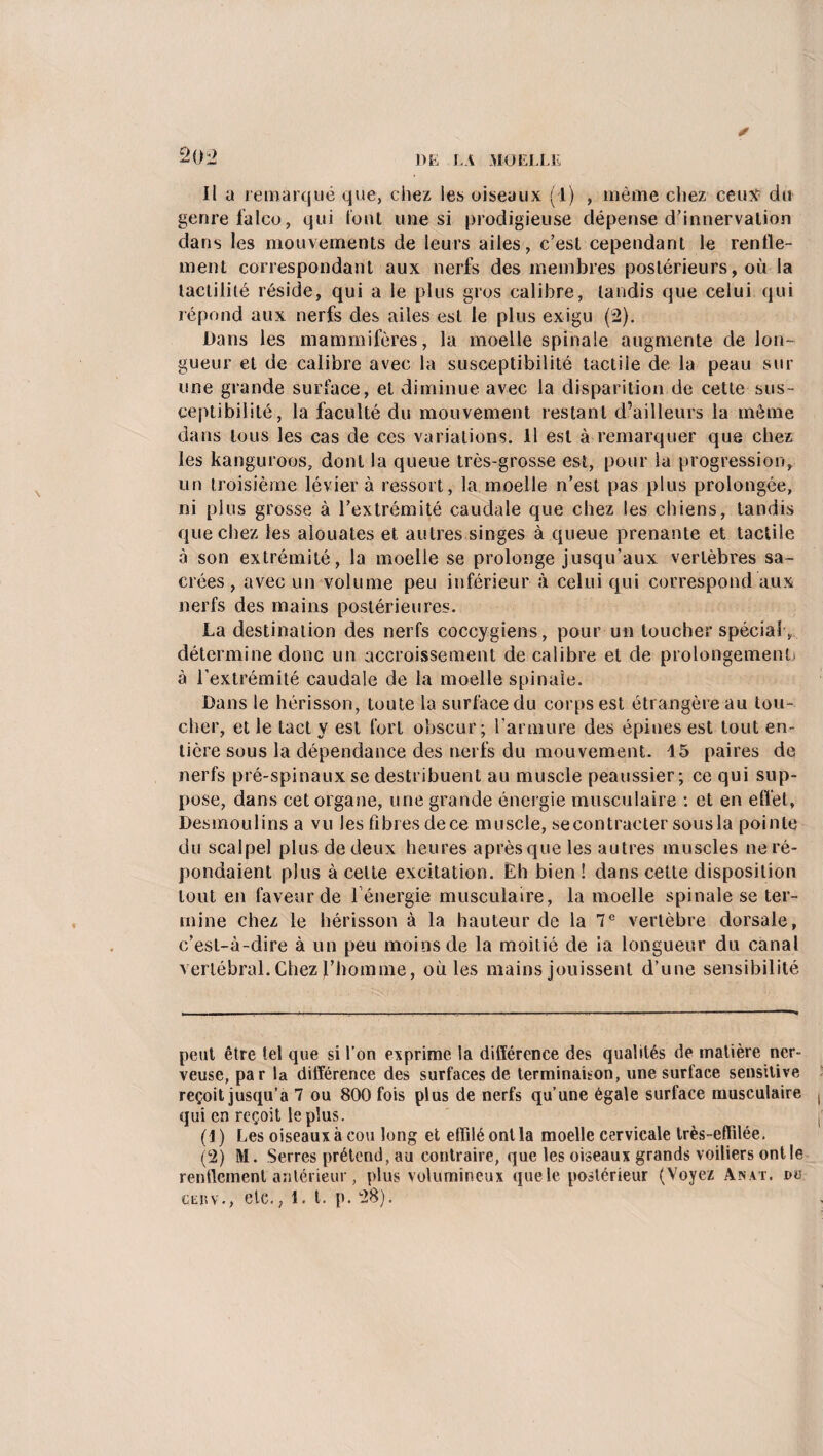 Il a remarqué que, chez les oiseaux (1) , même chez ceux du genre falco, qui font une si prodigieuse dépense d’innervation dans les mouvements de leurs ailes, c’est cependant le renfle¬ ment correspondant aux nerfs des membres postérieurs, où la lactilité réside, qui a le plus gros calibre, tandis que celui qui répond aux nerfs des ailes est le plus exigu (2). Dans les mammifères, la moelle spinale augmente de lon¬ gueur et de calibre avec la susceptibilité tactile de la peau sur une grande surface, et diminue avec la disparition de cette sus¬ ceptibilité, la faculté du mouvement restant d’ailleurs la même dans tous les cas de ces variations. Il est à remarquer que chez les kanguroos, dont la queue très-grosse est, pour la progression, un troisième lévier à ressort, la moelle n’est pas plus prolongée, ni plus grosse à l’extrémité caudale que chez les chiens, tandis que chez les alouates et autres singes à queue prenante et tactile à son extrémité, la moelle se prolonge jusqu’aux vertèbres sa¬ crées, avec un volume peu inférieur à celui qui correspond aux nerfs des mains postérieures. La destination des nerfs coccygiens, pour un toucher spécial, détermine donc un accroissement de calibre et de prolongement, à l’extrémité caudale de la moelle spinale. Dans le hérisson, toute la surface du corps est étrangère au tou¬ cher, et le tact y est fort obscur; l’armure des épines est tout en¬ tière sous la dépendance des nerfs du mouvement. 45 paires de nerfs pré-spinaux se destribuent au muscle peaussier; ce qui sup¬ pose, dans cet organe, une grande énergie musculaire : et en efl'et, Desmoulins a vu les fibres dece muscle, se contracter sousla pointe du scalpel plus de deux heures après que les autres muscles ne ré¬ pondaient plus à celte excitation. Ëh bien! dans cette disposition tout en faveur de 1 énergie musculaire, la moelle spinale se ter¬ mine chez le hérisson à la hauteur de la 7 e vertèbre dorsale, c’est-à-dire à un peu moins de la moitié de ia longueur du canal vertébral. Chez l’homme, ouïes mains jouissent d’une sensibilité peut être tel que si l’on exprime la différence des qualités de matière ner¬ veuse, par la différence des surfaces de terminaison, une surface sensitive reçoit jusqu’à 7 ou 800 fois plus de nerfs qu’une égale surface musculaire qui en reçoit le plus. (1) Les oiseaux à cou long et effilé ont la moelle cervicale très-effilée. (2) M. Serres prétend, au contraire, que les oiseaux grands voiliers ont le renflement antérieur, plus volumineux que le postérieur (Voyez Anat. du Giipv., etc., î. t. p. 28).