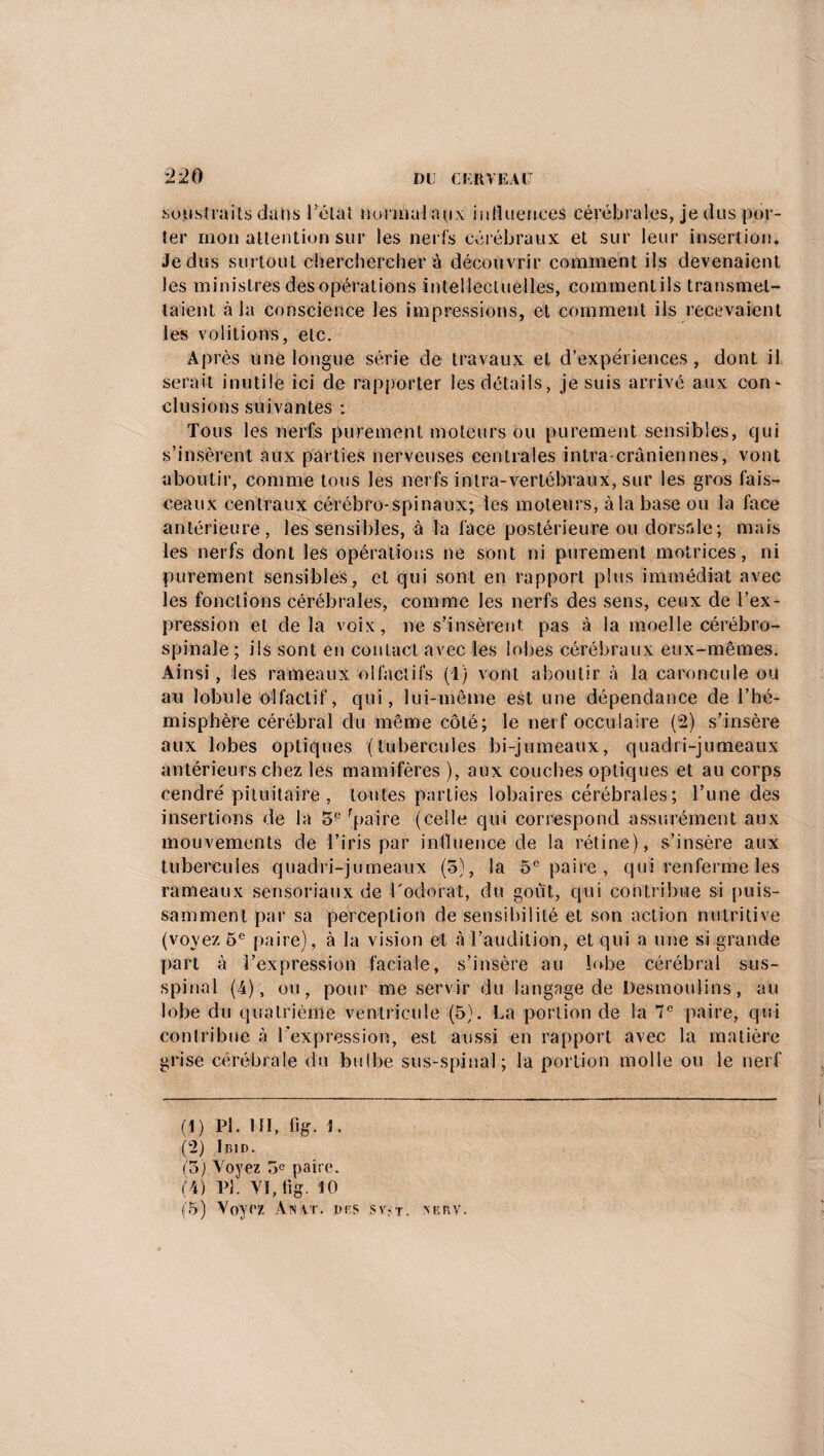 soustraits dans Tétât normal aux influences cérébrales, je dus por¬ ter mon attention sur les nerfs cérébraux et sur leur insertion. Je dus surtout cherchereher à découvrir comment ils devenaient les ministres des opérations intellectuelles, comment ils transmet¬ taient à la conscience les impressions, et comment ils recevaient les voûtions, etc. Après une longue série de travaux et d’expériences, dont il serait inutile ici de rapporter les détails, je suis arrivé aux con¬ clusions suivantes : Tous les nerfs purement moteurs ou purement sensibles, qui s’insèrent aux parties nerveuses centrales intra crâniennes, vont aboutir, comme tous les nerfs intra-vertébraux, sur les gros fais¬ ceaux centraux cérébro-spinaux; les moteurs, à la base ou la face antérieure, les sensibles, à la face postérieure ou dorsale; mais les nerfs dont les opérations ne sont ni purement motrices , ni purement sensibles, et qui sont en rapport plus immédiat avec les fonctions cérébrales, comme les nerfs des sens, ceux de l’ex¬ pression et delà voix, ne s’insèrent pas à la moelle cérébro- spinale ; ils sont en contact avec les lobes cérébraux eux-mêmes. Ainsi, les rameaux olfactifs (1) vont aboutir à la caroncule ou au lobule olfactif, qui, lui-même est une dépendance de l’hé¬ misphère cérébral du même côté; le nerf occulaire (2) s’insère aux lobes optiques (tubercules bi-jumeaux, quadri-jumeaux antérieurs chez les mamifères ), aux couches optiques et au corps cendré pituitaire , toutes parties lobaires cérébrales; Tune des insertions de la 5e fpaire (celle qui correspond assurément aux mouvements de l’iris par influence de la rétine), s’insère aux tubercules quadri-jumeaux (5), la 5e paire , qui renferme les rameaux sensoriaux de -Todorat, du goût, qui contribue si puis¬ samment par sa perception de sensibilité et son action nutritive (voyez 5e paire), à la vision et à l’audition, et qui a une si grande part à l’expression faciale, s’insère au lobe cérébral sus- spiual (4), ou, pour me servir du langage de Desmoulins, au lobe du quatrième ventricule (5). La portion de la 7e paire, qui contribue à l’expression, est aussi en rapport avec la matière grise cérébrale du bulbe sus-spinal; la portion molle ou le nerf (1) pi. ni, fig. i. (2) Ibid. (5) Voyez 5e paire. (4) PL VI, fi g. 10 (5) Voyez Anat. des Sy?.t. nbrv.