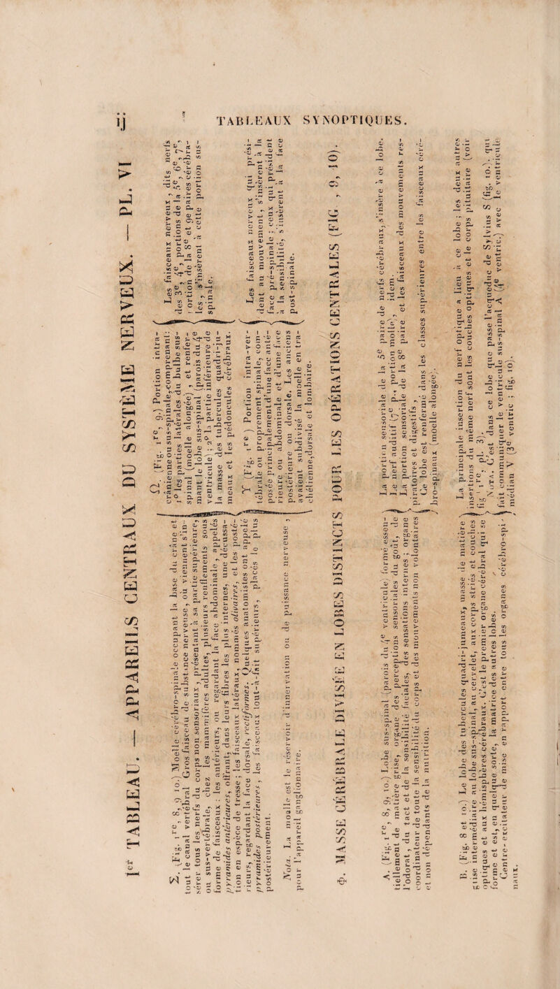 TABLEAU. - APPAREILS CENTRAUX DU SYSTÈME NERVEUX. - PL. VI U TAB UEAUX S YNOPTIQ U ES. t* a p ^ «-55 * p r - OO ~ fl in 'P o 4-» «-s P ■-< $ i ^ «e .fl G- M ci ^ a,- <ü *r —> ^ fl .P « M U G O K fl It ü l?;il «S I.fiï? .2 * <u ro •- ^ . 00 -e: et fl tn ' -- eu CA ce tn t. fl QJ i p « l U vj- o fl 03 O P-. CT- flaire e nfl fl -r fl £ .« p^^ *. o-Z * - 0) si o _ X-gfl “ -o <e •-‘3 S! WD G U fl ^ a -a ce £ fl O flfla) O “ f „ A3 -r-' l,v en -A G CC Qj) 9 S ë'S ,_G *o ce JA v . e* fl '~H jg £ o P _fl ■03 ^cl « P (*, '=.5 o-..- a s CD ** > fl > et fl P O fl 'P — tn — 'p ce _ C :fl • - “fl 03 !f) Tfl • tn ■ C c . fl 03 fl- tn E *2 fl 5 a ^ c; «e fl Si ■- fl o CA fl fl et 03 . s «S * T P T „ 2 -J § •**4  Q A tn fl «fl £ T3 JJ ~ 1=1 C Q3 .fl g £ fl ^ ci en > c p ° en a? O o c/) T-rl ci Z kl C/} Z O ln»4 ci a. O tn ■nJ -M G ^ U tn tn G P P P P p _ CA • -ta ce er; G Afl P — h—^ Q *-> W3 p ci ’ P p tn tn ce X Au^ p P *P P A A ce G. ce ce p A *P p C ce *P O 03 rCe 03 03 X - P TJ : eu. ’ 03 * -' - E 03 ce *03 rz 3C 'fl o 5 fle G fl P A fl fl - a C 03 C o C CA fl fl. ‘o e f -> o •- - c 0) Ct -fl .1 03 JA -§ 5 - 03 tn G 03 fl eu r* . o Ü o G - 03 * > bD «A 2 ï Vu * G ^ 03 •-s p en T U3 -J ÏT ■ U -V-* P vAl^ -a ü P ‘P o ° Z< en G tn tG 0) •- -G A o.S tn CA, O J ce CA s tn (/; P CU tn fl A- 03 O tn les SJ S- fl' o AT tn f  03 fl S <03 CA A • fl -o ‘ 03 . bc O -fl CE —1 C 03 ’ S >. 03 'n JA fl .A S o» ; m °0 5 P-.E ce ■ T 33 xu tn o'- < C c •Ai o 0J P Cjfl - fl 03 03 c\ en tn | G *2 ^ Z C 03 ^ o s*-. 5 -a AA o fl 03 • Ah t fl 03 U fl 03 o P 0) JH fl fl tn ‘g-'fl i 1,1 P eu -5 ^ 3 •o 7, y P 03 “fl es 03 SJ CA fl CA 03 3- ZJ ce '03 03 2 r^- CA fl «•> fl c 03 5 tn fl —. E -, 03 « fl 9a s W -‘ ce P C P ?- u o fl -G fl u Q U i-fl P A 3 ce *fl P _ ~ O ■ - P tn u G ce 3 ^ AC _fl I '03 ! '03 —i ; 4-> C3 ~ c S fl- r1 —1 p en O *03 03 tn ^ 03 je r» ' ' ' _ tn fl- s 2 î° ce fl ce « *03 03 a JE 03 JP tn 48 « ■g JS fl tn -fl A 03 _“d - u ^ fl te —fl orjw S 9 U> '03 fl flr a E S 2 ü. a> ' AJ rfl ^•oj a r « o Ë s Sj‘ G G « 03 fl AC . ; gz w fl a s JE 03 ^ fl fl- ^ 3 03 C fl.fl x ^ ^ g . fl «n ' '| '03 g fl 4-S G P ce A ° X <^3 X fl cj fl ce O) ci 03 A £3 G _ 03 iC 03 ^ .A fl .fl ' A 03 C tj3- 3 C 03 fl 3 tn fl < n. tn te t-, G ^ • A - ^ 03 03 CD ce -S 03 03 r a? a 3 *• —< 03 03 ce fl -r* G i. 03 A n tJ £<3.2 g J; t* .fl fl Ü s -o p - jOI ss-4s?4! S » 'û os 7S J 03 ? s J 03 G fl A fl 3 £ ' O 03 ^ 03 TJ fl 1S.2 03 —, - c/5 ci erj o —< C *o -» « < ? m H CJ &, »A H en en fcü /V—\ l»*»1 o -J SS en ta— t> -TJ A— ce 'A! A A en en -e i a a; r/i G T3 H fl a> ce .fl £ •, fl O' ^ fl ti <p G G 'P O O G tD '“fl ,o 3 03 '■*T « 2 2 Aj 03 flj fl G “fl .fl tn p -2 fl 7 ^ tft H fl C fl P G 2 ^ G P fl ‘Z S > tn ce > tn ~- Ï-ÏÎ2 c 85 a 'n Q) w o 2 ÎC tn' 23 -- P 03 fl p_-fl tn CC Pta4 ifi‘E o —- 03 - r. g TJ — ^ p 03 Jj ’—1 tn G -*-• ’J ^>3 - m ^ ^ 2 5 * p '“ AC G ns O 03 t/j t£> • P P P -ü -P *> ' •-« P te 4-j C p *- ce 03 00 03 -o Au 03 tn fl ci -- 03 P G ^ O tn * C P ce fl U C E P 03 CA s —' ‘P a ~ tn g p ttaj 5 S G P 1 <U ‘3 tn ... x r *p X o •P G 03 WD 5 É u AC P C en P ce te x P S s P 5- U G * ta^ > tn tn tn P G £ 2 G P tn 03 P ^5 2-5 _ jê; a « . U « S « = ‘S.-3 - S'-? tn J sfl P tn P -es tn tn P -s P s S ce c S P u P P 03 J A —G tap -fl C AC — CA G P P G en 5j4fl5 Je'?o- P ‘ P M o .î: ufl G G O1 P ce .fl X G % -fl ^ P.- p *p ce *s o 00 S *j %> p . U P P , WD P tn • —• —■ Au C 0 ° o fl p u J2 O fl O '-'•- gs o . o.2s G p X —. 'B O ee .2 - S U G p ,° O ■fl — S- a te c ■— te G