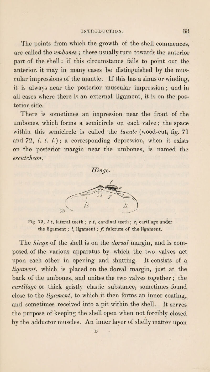 The points from which the growth of the shell commences, are called the umbones ; these usually turn towards the anterior part of the shell: if this circumstance fails to point out the anterior, it may in many cases be distinguished by the mus¬ cular impressions of the mantle. If this has a sinus or winding, it is always near the posterior muscular impression ; and in all cases where there is an external ligament, it is on the pos¬ terior side. There is sometimes an impression near the front of the umbones, which forms a semicircle on each valve; the space within this semicircle is called the lunule (wood-cut, fig. 71 and 72, /. 1. 1.); a corresponding depression, when it exists on the posterior margin near the umbones, is named the escutcheon. Hinge. / Fig. 73, l t, lateral teeth; c t, cardinal teeth; c, cartilage under the ligament; l, ligament; f. fulcrum of the ligament. The hinge of the shell is on the dorsal margin, and is com¬ posed of the various apparatus by which the two valves act upon each other in opening and shutting. It consists of a ligament, which is placed on the dorsal margin, just at the back of the umbones, and unites the two valves together ; the cartilage or thick gristly elastic substance, sometimes found close to the ligament, to which it then forms an inner coating, and sometimes received into a pit within the shell. It serves the purpose of keeping the shell open when not forcibly closed by the adductor muscles. An inner layer of shelly matter upon D