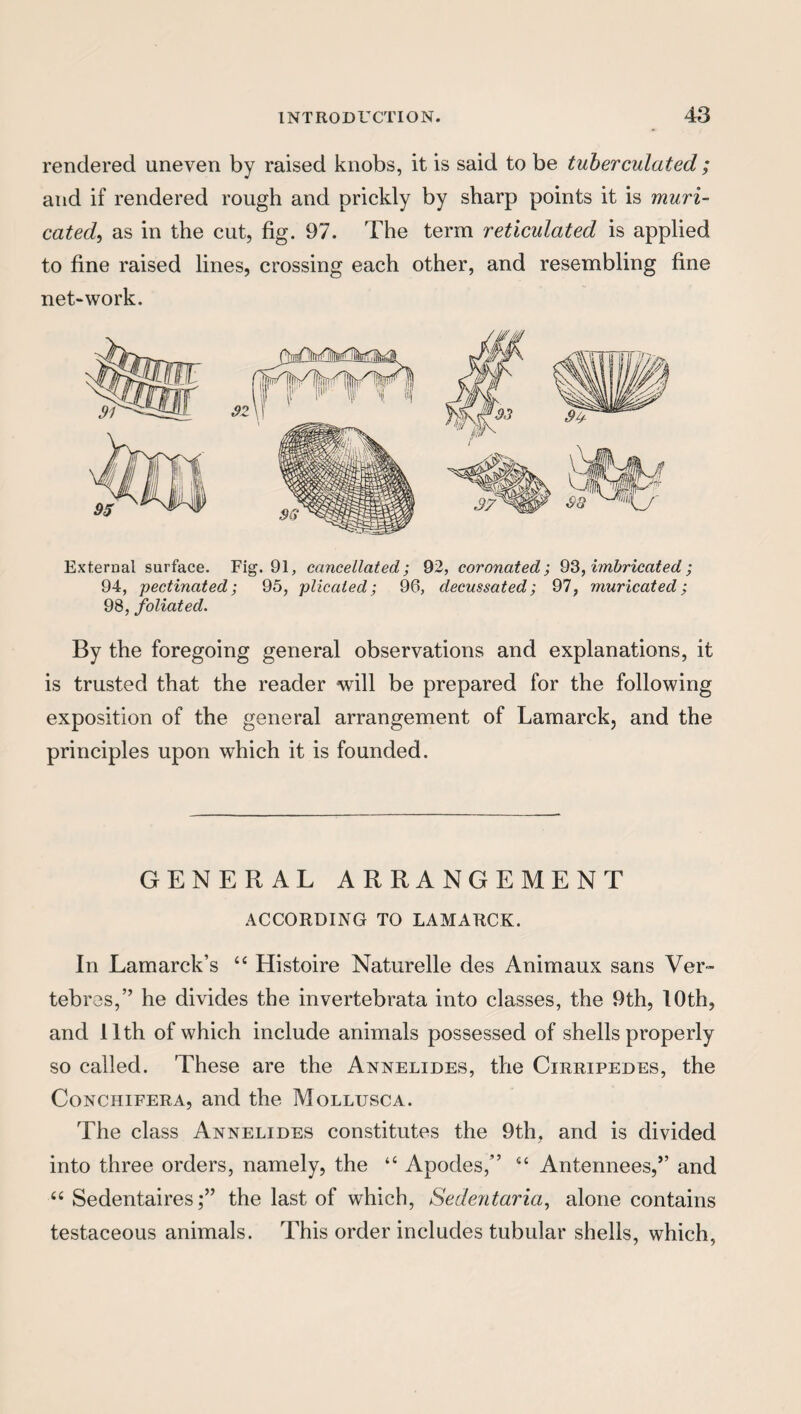 rendered uneven by raised knobs, it is said to be tuberculated ; and if rendered rough and prickly by sharp points it is muri- cated, as in the cut, fig. 97. The term reticulated is applied to fine raised lines, crossing each other, and resembling fine net-work. External surface. Fig. 91, cancellated; 92, coronated; 93, imbricated ; 94, pectinated; 95, plicated; 96, decussated; 97, muricated; 98, foliated. By the foregoing general observations and explanations, it is trusted that the reader -will be prepared for the following exposition of the general arrangement of Lamarck, and the principles upon which it is founded. GENERAL ARRANGEMENT ACCORDING TO LAMARCK. In Lamarck’s “ Histoire Naturelle des Animaux sans Ver¬ tebras,” he divides the invertebrata into classes, the 9th, 10th, and 11th of which include animals possessed of shells properly so called. These are the Annelides, the Cirripedes, the Conchifera, and the Mollusca. The class Annelides constitutes the 9th, and is divided into three orders, namely, the “ Apodes,” “ Antennees,” and 66 Sedentairesthe last of which, Sedentaria, alone contains testaceous animals. This order includes tubular shells, which,