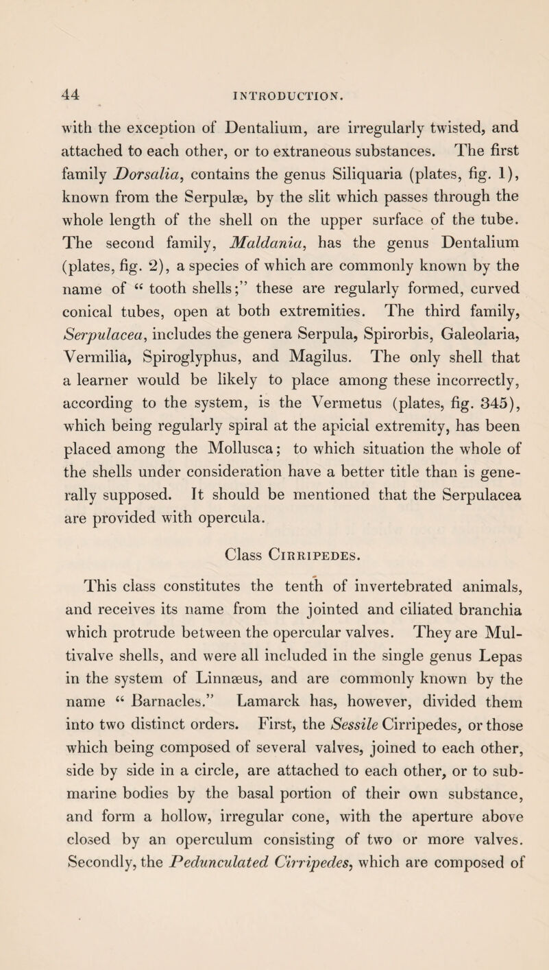 with the exception of Dentalium, are irregularly twisted, and attached to each other, or to extraneous substances. The first family Dorsalia, contains the genus Siliquaria (plates, fig. 1), known from the Serpulse, by the slit which passes through the whole length of the shell on the upper surface of the tube. The second family, Maldania, has the genus Dentalium (plates, fig. 2), a species of which are commonly known by the name of 44 tooth shells;” these are regularly formed, curved conical tubes, open at both extremities. The third family, Serpulacea, includes the genera Serpula, Spirorbis, Galeolaria, Vermilia, Spiroglyphus, and Magilus. The only shell that a learner would be likely to place among these incorrectly, according to the system, is the Vermetus (plates, fig. 345), which being regularly spiral at the apicial extremity, has been placed among the Mollusca; to which situation the whole of the shells under consideration have a better title than is gene¬ rally supposed. It should be mentioned that the Serpulacea are provided with opercula. Class Cirripedes. This class constitutes the tenth of invertebrated animals, and receives its name from the jointed and ciliated branchia which protrude between the opercular valves. They are Mul¬ tivalve shells, and were all included in the single genus Lepas in the system of Linnaeus, and are commonly known by the name 44 Barnacles.” Lamarck has, however, divided them into two distinct orders. First, the Sessile Cirripedes, or those which being composed of several valves, joined to each other, side by side in a circle, are attached to each other, or to sub¬ marine bodies by the basal portion of their own substance, and form a hollow, irregular cone, with the aperture above closed by an operculum consisting of two or more valves. Secondly, the Pedunculated Cirripedes, which are composed of