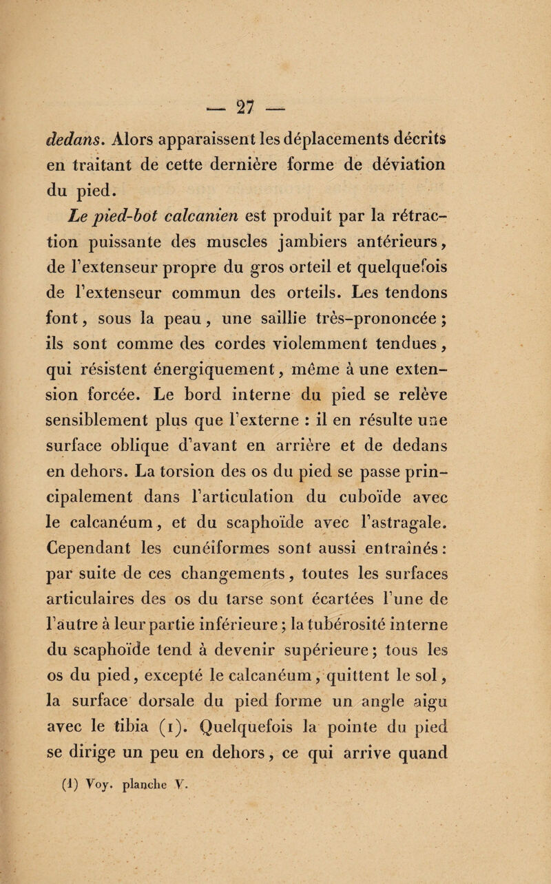 dedans. Alors apparaissent les déplacements décrits en traitant de cette dernière forme de déviation du pied. Le pied-bot calcanien est produit par la rétrac¬ tion puissante des muscles jambiers antérieurs, de l’extenseur propre du gros orteil et quelquefois de l’extenseur commun des orteils. Les tendons font, sous la peau, une saillie très-prononcée ; ils sont comme des cordes violemment tendues, qui résistent énergiquement, même à une exten¬ sion forcée. Le bord interne du pied se relève sensiblement plus que l’externe : il en résulte une surface oblique d’avant en arrière et de dedans en dehors. La torsion des os du pied se passe prin¬ cipalement dans l’articulation du cuboïde avec le calcanéum, et du scaphoïde avec l’astragale. Cependant les cunéiformes sont aussi entraînés : par suite de ces changements, toutes les surfaces articulaires des os du tarse sont écartées l’une de l’autre à leur partie inférieure ; la tubérosité interne du scaphoïde tend à devenir supérieure ; tous les os du pied, excepté le calcanéum, quittent le sol, la surface dorsale du pied forme un angle aigu avec le tibia (i). Quelquefois la pointe du pied se dirige un peu en dehors, ce qui arrive quand (d) Voy. planche V.