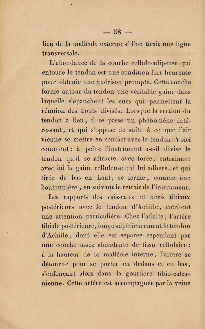 lieu de la malléole externe si Fou tirait une ligne transversale. L’abondance de la couche cellulo-adipeuse qui entoure le tendon est une condition fort heureuse pour obtenir une guérison prompte. Cette couche forme autour du tendon une véritable gaine dans laquelle s’épanchent les sucs qui permettent la réunion des bouts divisés. Lorsque la section du tendon a lieu, il se passe un phénomène inté¬ ressant , et qui s’oppose de suite à ce que l’air vienne se mettre en contact avec le tendon. Yoici comment : à peine F instrument a-t-il divisé le tendon qu’il se rétracte avec force, entraînant avec lui la gaine celluleuse qui lui adhère, et qui tirée de bas en haut, se ferme, comme une boutonnière , en suivant le retrait de l’instrument. Les rapports des vaisseaux et nerfs tibiaux postérieurs avec le tendon d’Achille, méritent une attention particulière. Chez l’adulte, l’artère tibiale postérieure, longe supérieurement le tendon d’Achille, dont elle est séparée cependant par une couche assez abondante de tissu cellulaire : à la hauteur de la malléole interne, l’artère se détourne pour se porter en dedans et en bas, s’enfonçant alors dans la gouttière tibio-calca- nienne. Cette artère est accompagnée par la veine