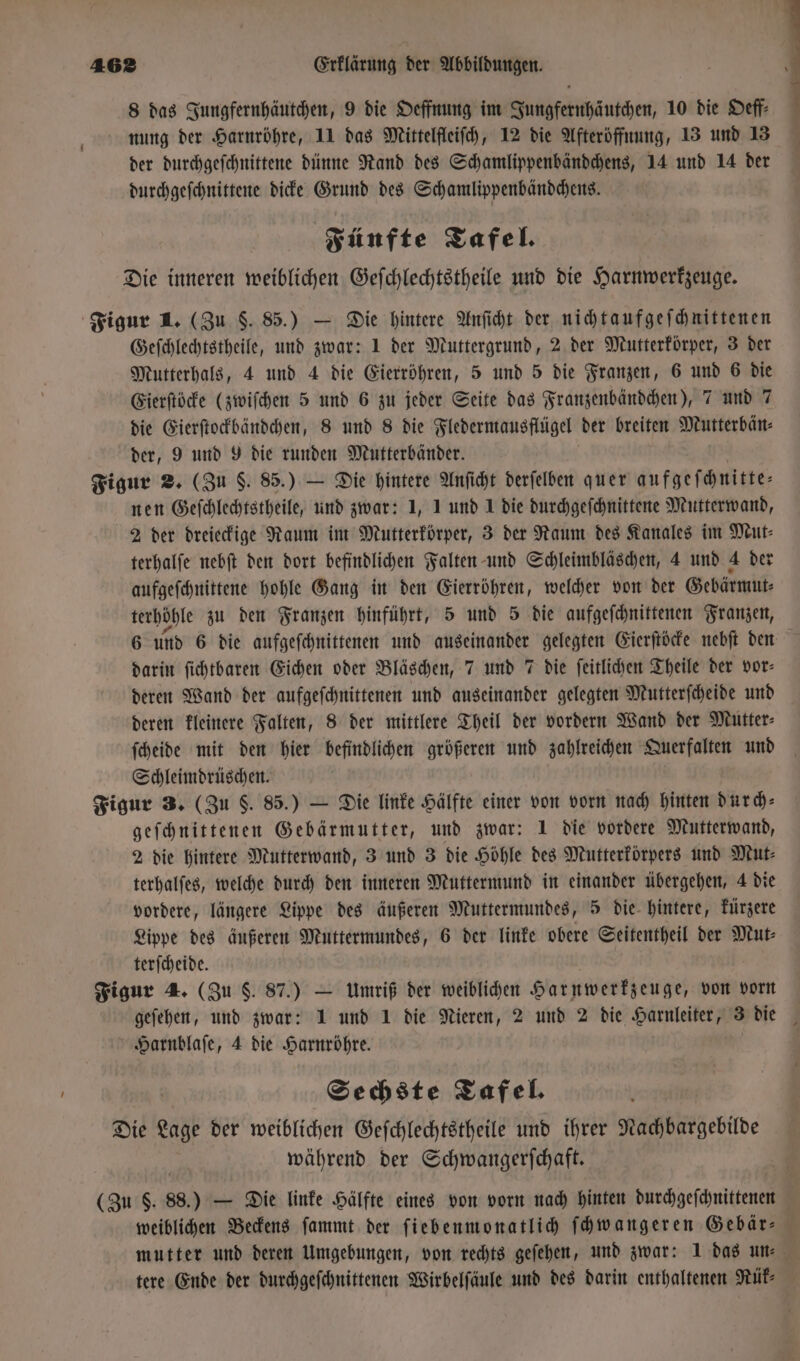 8 das Jungfernhäutchen, 9 die Oeffnung im Jungfernhäutchen, 10 die Deff- nung der Harnröhre, 11 das Mittelfleiſch, 12 die Afteröffnung, 13 und 13 der durchgeſchnittene dünne Rand des Schamlippenbändchens, 14 und 14 der durchgeſchnittene dicke Grund des Schamlippenbändchens. Fünfte Tafel. Die inneren weiblichen Geſchlechtstheile und die Harnwerkzeuge. Figur 1. (Zu F. 85.) — Die hintere Anſicht der nichtaufgeſchnittenen Geſchlechtstheile, und zwar: 1 der Muttergrund, 2 der Mutterkörper, 3 der Mutterhals, 4 und 4 die Eierröhren, 5 und 5 die Franzen, 6 und 6 die Eierſtöcke (zwiſchen 5 und 6 zu jeder Seite das Franzenbändchen), 7 und 7 die Eierſtockbändchen, 8 und 8 die Fledermausflügel der breiten Mutterbän⸗ der, 9 und 9 die runden Mutterbänder. Figur 2. (Zu S. 85.) — Die hintere Anſicht derſelben quer aufgeſchnitte— nen Geſchlechtstheile, und zwar: 1, I und 1 die durchgeſchnittene Mutterwand, 2 der dreieckige Raum im Mutterkörper, 3 der Naum des Kanales im Mut⸗ terhalſe nebſt den dort befindlichen Falten und Schleimbläschen, 4 und 4 der aufgeſchnittene hohle Gang in den Eierröhren, welcher von der Gebärmut⸗ terhöhle zu den Franzen hinführt, 5 und 5 die aufgeſchnittenen Franzen, 6 und 6 die aufgeſchnittenen und auseinander gelegten Eierſtöcke nebſt den darin ſichtbaren Eichen oder Bläschen, 7 und 7 die ſeitlichen Theile der vor- deren Wand der aufgeſchnittenen und auseinander gelegten Mutterſcheide und deren kleinere Falten, 8 der mittlere Theil der vordern Wand der Mutter⸗ ſcheide mit den hier befindlichen größeren und zahlreichen Querfalten und Schleimdrüschen. Figur 3. (Zu S. 85.) — Die linke Hälfte einer von vorn nach hinten durch⸗ geſchnittenen Gebärmutter, und zwar: 1 die vordere Mutterwand, 2 die hintere Mutterwand, 3 und 3 die Höhle des Mutterkörpers und Mut⸗ terhalſes, welche durch den inneren Muttermund in einander übergehen, 4 die vordere, längere Lippe des äußeren Muttermundes, 5 die hintere, kürzere Lippe des äußeren Muttermundes, 6 der linke obere Seitentheil der Mut⸗ terſcheide. Figur 4. (Zu $. 87.) — Umriß der weiblichen Harnwerkzeuge, von vorn geſehen, und zwar: 1 und 1 die Nieren, 2 und 2 die Harnleiter, 3 die Harnblaſe, 4 die Harnröhre. Sechste Tafel. Die Lage der weiblichen Geſchlechtstheile und ihrer Nachbargebilde während der Schwangerſchaft. (Zu 5. 88.) — Die linke Hälfte eines von vorn nach hinten durchgeſchnittenen weiblichen Beckens ſammt der ſiebenmonatlich ſchwangeren Gebär⸗ mutter und deren Umgebungen, von rechts geſehen, und zwar: 1 das un- tere Ende der durchgeſchnittenen Wirbelſäule und des darin enthaltenen Nut: