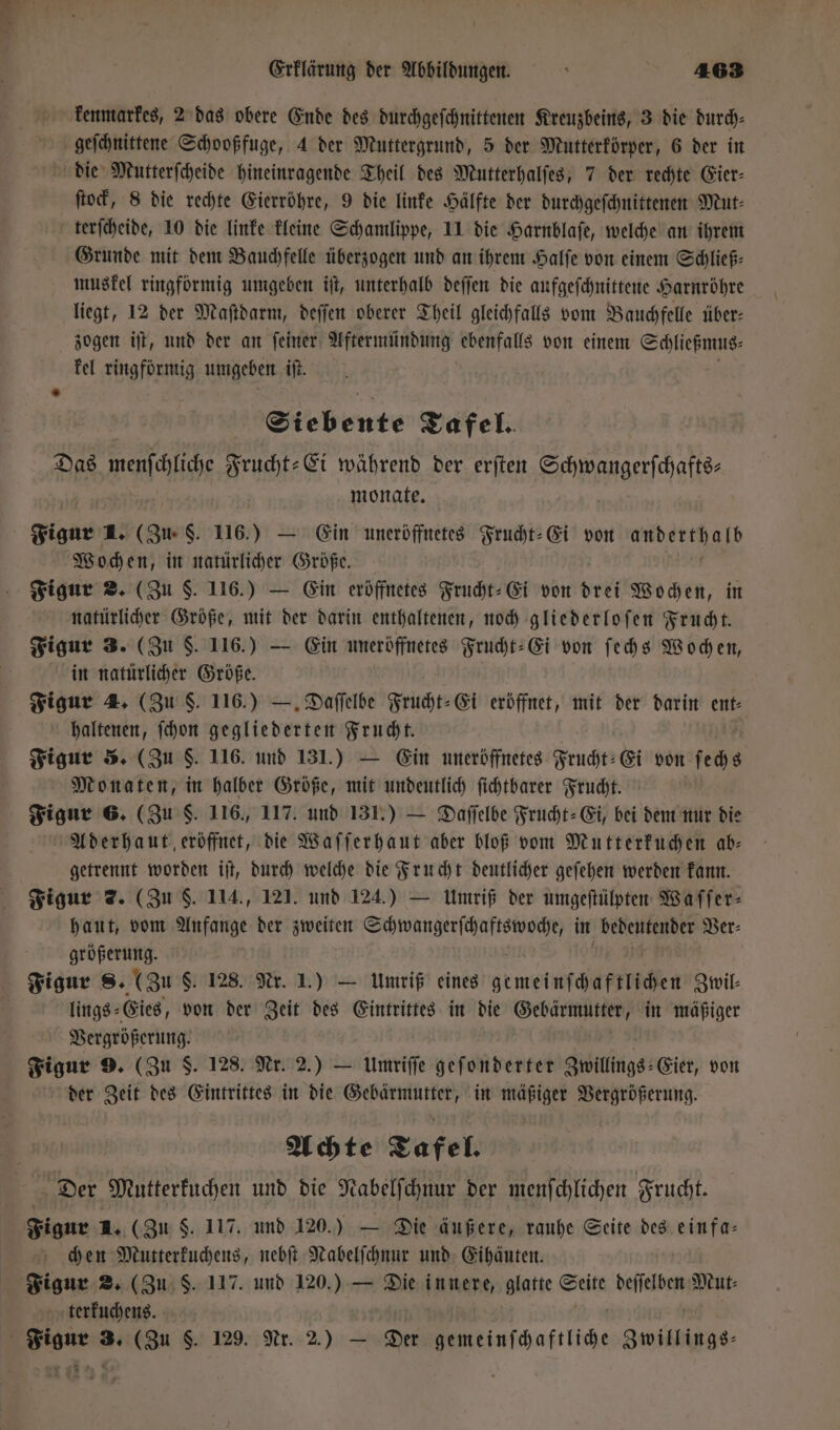 kenmarkes, 2 das obere Ende des durchgeſchnittenen Kreuzbeins, 3 die durch⸗ geſchnittene Schooßfuge, 4 der Muttergrund, 5 der Mutterkörper, 6 der in die Mutterſcheide hineinragende Theil des Mutterhalſes, 7 der rechte Eier— ſtock, 8 die rechte Eierröhre, 9 die linke Hälfte der durchgeſchnittenen Mut⸗ terſcheide, 10 die linke kleine Schamlippe, 11 die Harnblaſe, welche an ihrem Grunde mit dem Bauchfelle überzogen und an ihrem Halſe von einem Schließ⸗ muskel ringförmig umgeben iſt, unterhalb deſſen die aufgeſchnittene Harnröhre liegt, 12 der Maſtdarm, deſſen oberer Theil gleichfalls vom Bauchfelle über— zogen iſt, und der an ſeiner Aftermündung ebenfalls von einem n kel ringförmig umgeben iſt. Siebente Tafel. Das menſchliche Frucht⸗Ei während der erſten Faanemaß scha monate. Figur 2. (Zu. S. 116.) — Ein uneröffnetes „ von anderthalb Woch en, in natürlicher Größe. Figur 2. (Zu $. 116.) — Ein eröffnetes Frucht⸗Ei von drei Wochen, in natürlicher Größe, mit der darin enthaltenen, noch gliederloſen Frucht. Figur 3. (Zu $. 116.) — Ein uneröffnetes Frucht⸗Ei von ſechs Wochen, in natürlicher Größe. Figur 4. (Zu S. 116.) —. Daſſelbe Frucht⸗Ei eröffnet, mit der darin ent⸗ haltenen, ſchon gegliederten Frucht. Figur 5. (Zu F. 116. und 131.) — Ein uneröffnetes Frucht⸗Ei von f 0 Monaten, in halber Größe, mit undeutlich ſichtbarer Frucht. Figur 6. (Zu S. 116., 117. und 131.) — Daſſelbe Frucht-Ei, bei dem nur die Aderhaut eröffnet, die Waſſerhaut aber bloß vom Mutterkuchen ab: getrennt worden iſt, durch welche die Frucht deutlicher geſehen werden kann. Figur 7. (Zu $. 114., 121. und 124.) — Umriß der umgeſtülpten Waſſer⸗ haut, vom Anfange der zweiten eee in bedeutender Ver⸗ Drop ung, Figur 8. (Zu $ 128. Nr. 1.) — Umriß eines gemeinschaften Zwil⸗ lings⸗ Eies, von der Zeit des Eintrittes in die e in mäßiger de ee Figur 9. (Zu S. 128. Nr. 2.) — Umriſſe geſonderter Zwillings⸗Eier, von der Zeit des Eintrittes in die Gebärmutter, in mäßiger Vergrößerung. Achte Tafel. Der Mutterkuchen und die Nabelſchnur der menſchlichen Frucht. Figur 1. (Zu 5. 117. und 120.) — Die äußere, rauhe Seite des einfa— chen Mutterkuchens, nebſt Nabelſchnur und Eihäuten. Figur 2. (Zu $. 117. und 120.) — Die innere, glatte Seite daten Mut⸗ terkuchens. Figur 3. (Zu S. 129. Nr. 2.) — Der bdosstiche Zwillings-