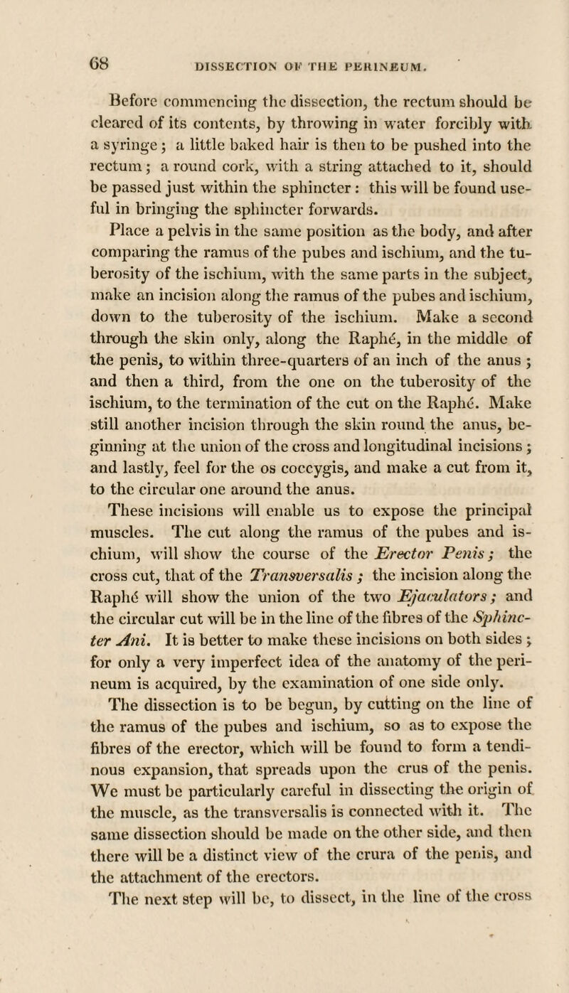Before commencing the dissection, the rectum should be cleared of its contents, by throwing in M ater forcibly with, a syringe; a little baked hair is then to be pushed into the rectum; a round cork, with a string attached to it, should be passed just within the sphincter : this will be found use¬ ful in bringing the sphincter forwards. Place a pelvis in the same position as the body, and after comparing the ramus of the pubes and ischium, and the tu¬ berosity of the ischium, with the same parts in the subject, make an incision along the ramus of the pubes and ischium, down to the tuberosity of the ischium. Make a second through the skin only, along the Raph£, in the middle of the penis, to within three-quarters of an inch of the anus ; and then a third, from the one on the tuberosity of the ischium, to the termination of the cut on the Raphe. Make still another incision through the skin round the anus, be¬ ginning at the union of the cross and longitudinal incisions ; and lastly, feel for the os coccygis, and make a cut from it, to the circular one around the anus. These incisions will enable us to expose the principal muscles. The cut along the ramus of the pubes and is¬ chium, M’ill show the course of the Erector Penis; the cross cut, that of the Transversalis ; the incision along the RapluS M'ill show the union of the two Ejamlators; and the circular cut will be in the line of the fibres of the Sphinc¬ ter Am. It i9 better to make these incisions on both sides ; for only a very imperfect idea of the anatomy of the peri¬ neum is acquired, by the examination of one side only. The dissection is to be begun, by cutting on the line of the ramus of the pubes and ischium, so as to expose the fibres of the erector, which will be found to form a tendi¬ nous expansion, that spreads upon the crus of the penis. We must be particularly careful in dissecting the origin of the muscle, as the transversalis is connected with it. The same dissection should be made on the other side, and then there will be a distinct view of the crura of the penis, and the attachment of the erectors. The next step will be, to dissect, in the line of the cross