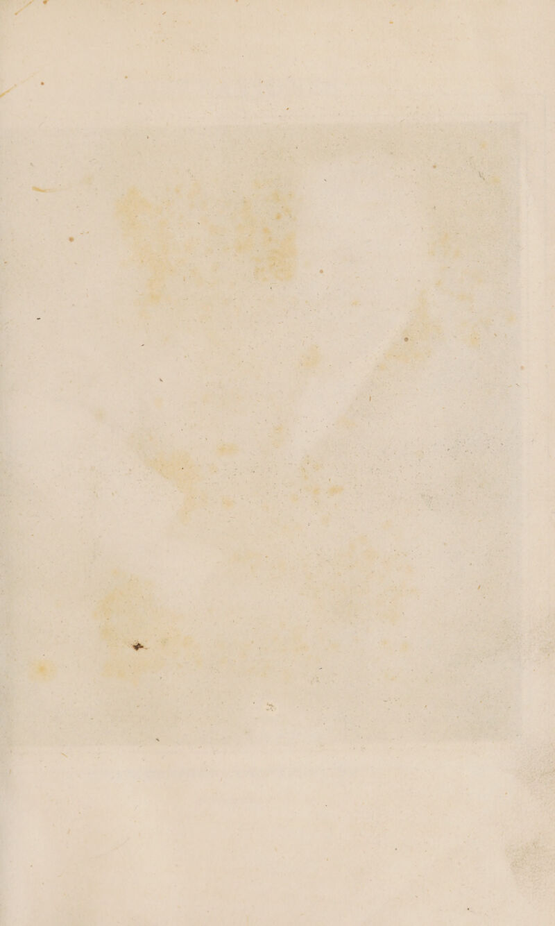 1 ^ * EM / LI * *  H , 4 C 5 ! * d P  E H J 1 ^ s d e * '] - ^ jf &amp; , ^ *. . » - LI x . i - E 1 i MN. n