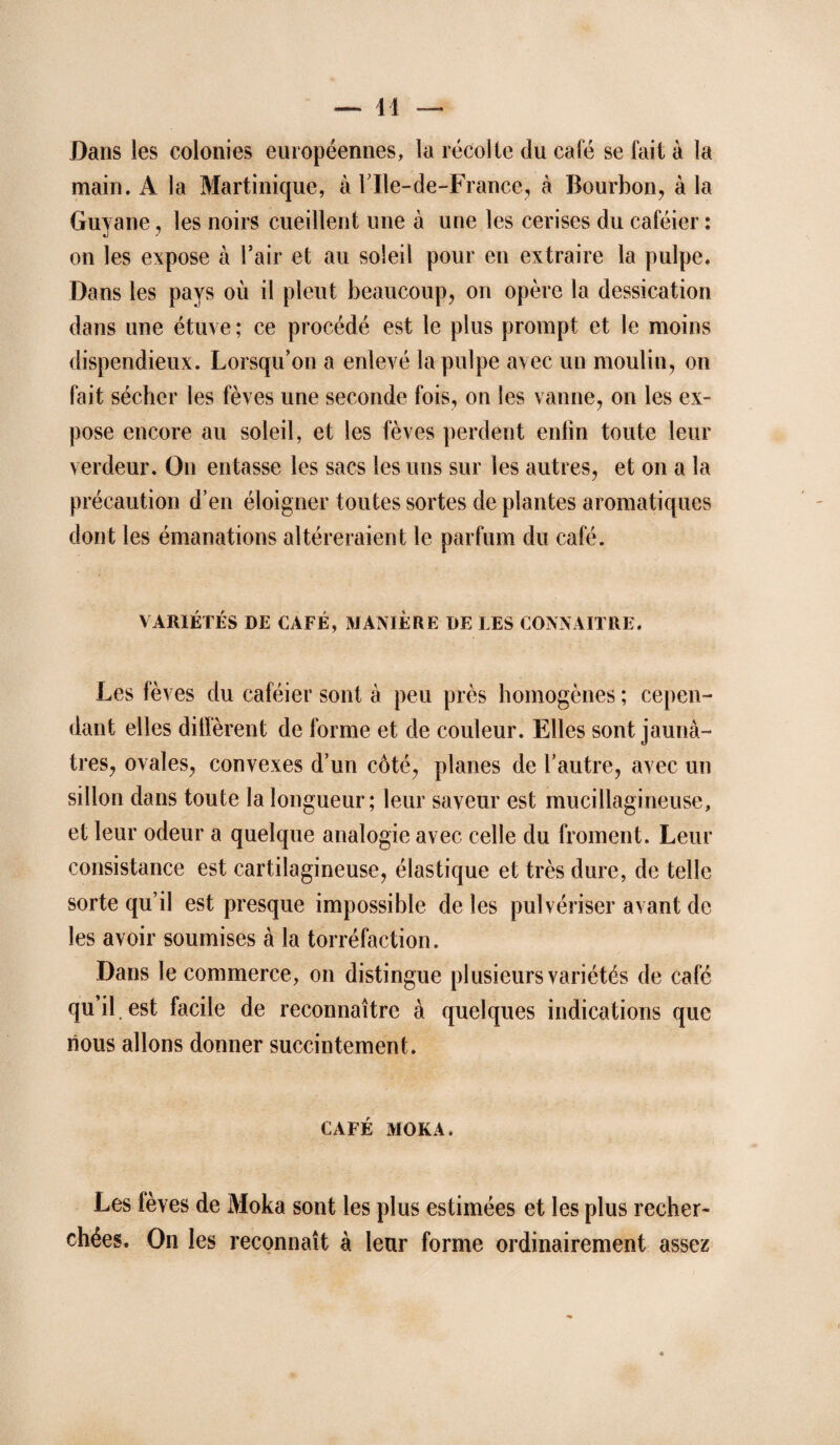 Dans les colonies européennes, la récolle du café se fait à la main. A la Martinique, à FIle-de-France, à Bourbon, à la Guyane, les noirs cueillent une à une les cerises du caféier : on les expose à Tair et au soleil pour en extraire la pulpe. Dans les pays où il pleut beaucoup, on opère la dessication dans une étuve ; ce procédé est le plus prompt et le moins dispendieux. Lorsqu’on a enlevé la pulpe avec un moulin, on fait sécher les fèves une seconde fois, on les vanne, on les ex¬ pose encore au soleil, et les fèves perdent enfin toute leur verdeur. On entasse les sacs les uns sur les autres, et on a la précaution d’en éloigner toutes sortes de plantes aromatiques dont les émanations altéreraient le parfum du café. VARIÉTÉS DE CAFÉ, MANIÈRE DE LES CONNAITRE. Les fèves du caféier sont à peu près homogènes ; cepen¬ dant elles dilfèrent de forme et de couleur. Elles sont jaunâ¬ tres, ovales, convexes d’un côté, planes de l’autre, avec un sillon dans toute la longueur; leur saveur est mucillagineuse, et leur odeur a quelque analogie avec celle du froment. Leur consistance est cartilagineuse, élastique et très dure, de telle sorte qu’il est presque impossible de les pulvériser avant de les avoir soumises à la torréfaction. Dans le commerce, on distingue plusieurs variétés de café qu’il , est facile de reconnaître à quelques indications que nous allons donner succintement. CAFÉ MOKA. Les fèves de Moka sont les plus estimées et les plus recher¬ chées. On les reconnaît à leur forme ordinairement assez