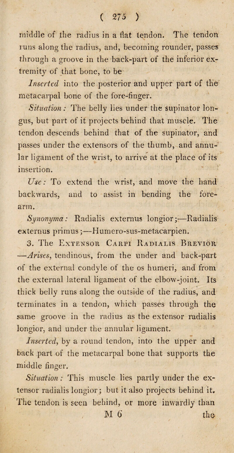 middle of fhe radius in a flat tendon. The tendon runs along the radius, and, becoming rounder, passes through a groove in the back-part of the inferior ex- ' tremity of that bone, to be Inserted into the posterior and upper part of the metacarpal bone of the fore-finger. Situation: The belly lies under the supinator lon- gus, but part of it projects behind that muscle. The tendon descends behind that of the supinator, and passes under the extensors of the thumb, and annu¬ lar ligament of the wrist, to arrive at the place of its insertion. Use: To extend the Mrist, and move the hand backwards, and to assist in bending the fore¬ arm. Synonyma: Radialis externus longior;-—Radialis externus primus;—Humero-sus-metacarpien. 3. The Extensor Carpi Radialis Brevior —Arises, tendinous, from the under and back-part of the external condyle of the os humeri, and from the external lateral ligament of the elbow-joint. Its thick belly runs along the outside of the radius, and terminates in a tendon, which passes through the same groove in the radius as the extensor radialis longior, and under the annular ligament. Inserted, by a round tendon, into the upper and back part of the metacarpal bone that supports the middle finger. Situation: This muscle lies partly under the ex¬ tensor radialis longior; but it also projects behind it. The tendon is seen behind, or more inwardly than M 6' the i