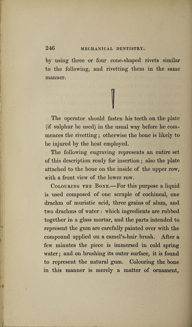 by using three or four cone-shaped rivets similar to the following, and rivetting them in the same manner. The operator should fasten his teeth on the plate (if sulphur be used) in the usual way before he com¬ mences the rivetting; otherwise the bone is likely to be injured by the heat employed. The following engraving represents an entire set of this description ready for insertion; also the plate attached to the bone on the inside of the upper row, with a front view of the lower row. Colouring the Bone.—For this purpose a liquid is used composed of one scruple of cochineal, one drachm of muriatic acid, three grains of alum, and two drachms of water : which ingredients are rubbed together in a glass mortar, and the parts intended to represent the gum are carefully painted over with the compound applied on a camelVhair brush. After a few minutes the piece is immersed in cold spring water; and on brushing its outer surface, it is found to represent the natural gum. Colouring the bone in this manner is merely a matter of ornament,