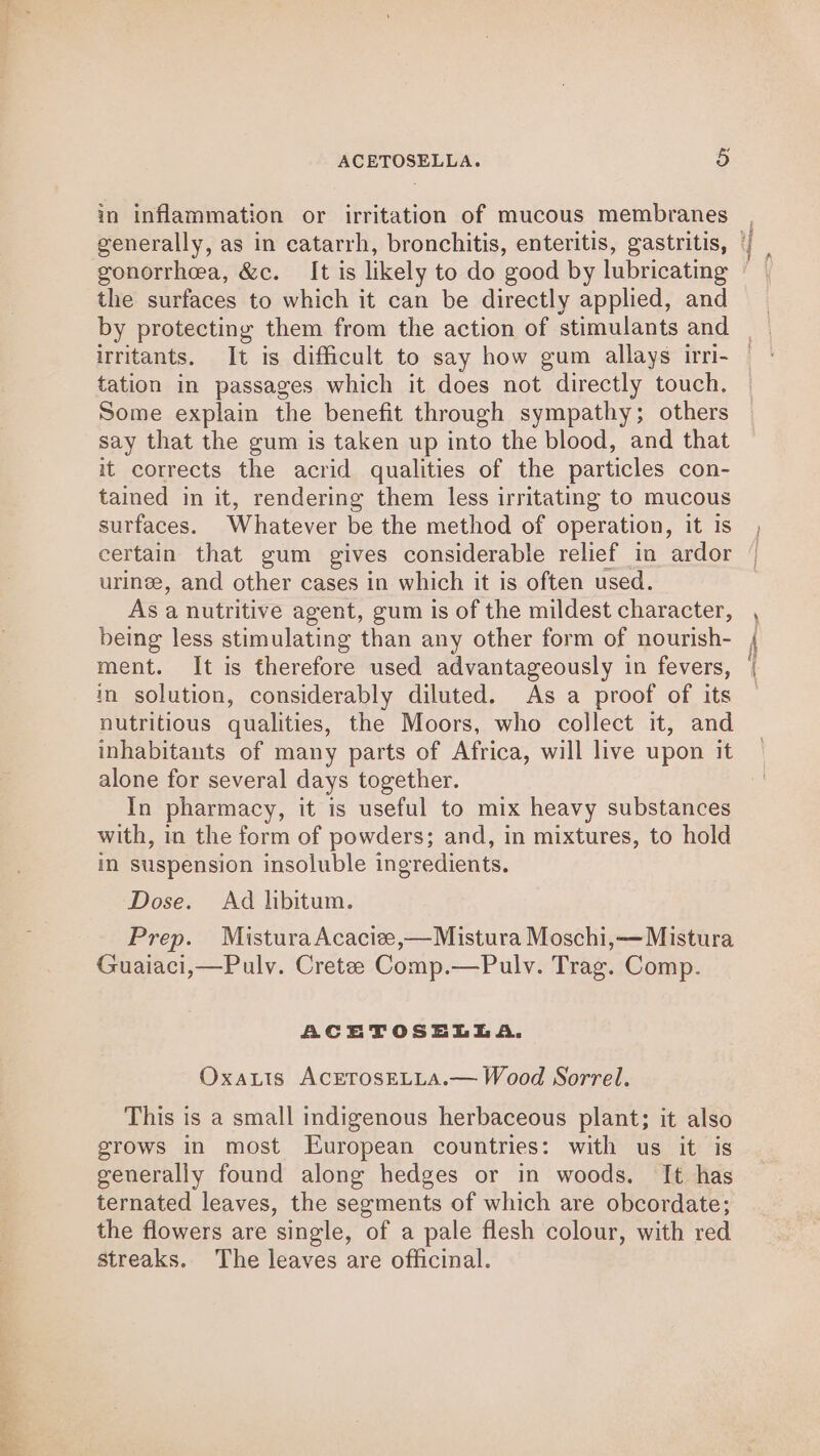 in inflammation or irritation of mucous membranes gonorrhea, &amp;c. It is likely to do good by lubricating the surfaces to which it can be directly applied, and irritants. It is difficult to say how gum allays irri- tation in passages which it does not directly touch. Some explain the benefit through sympathy; others say that the gum is taken up into the blood, and that it corrects the acrid qualities of the particles con- tained in it, rendering them less irritating to mucous surfaces. Whatever be the method of operation, it is certain that gum gives considerable relief in ardor urinee, and other cases in which it is often used. As a nutritive agent, gum is of the mildest character, being less stimulating than any other form of nourish- ment. It is therefore used advantageously in fevers, in solution, considerably diluted. As a proof of its nutritious qualities, the Moors, who collect it, and inhabitants of many parts of Africa, will live upon it alone for several days together. In pharmacy, it is useful to mix heavy substances with, in the form of powders; and, in mixtures, to hold in suspension insoluble ingredients. Dose. Ad libitum. Prep. MisturaAcaciee,—Mistura Moschi,—Mistura Guaiaci,—Pulv. Cretee Comp.—Pulv. Trag. Comp. ACETOSELLA. Oxatis ACETOSELLA.— Wood Sorrel. This is a small indigenous herbaceous plant; it also grows in most European countries: with us it is generally found along hedges or in woods. It has ternated leaves, the segments of which are obcordate; the flowers are single, of a pale flesh colour, with red streaks. The leaves are officinal. — as