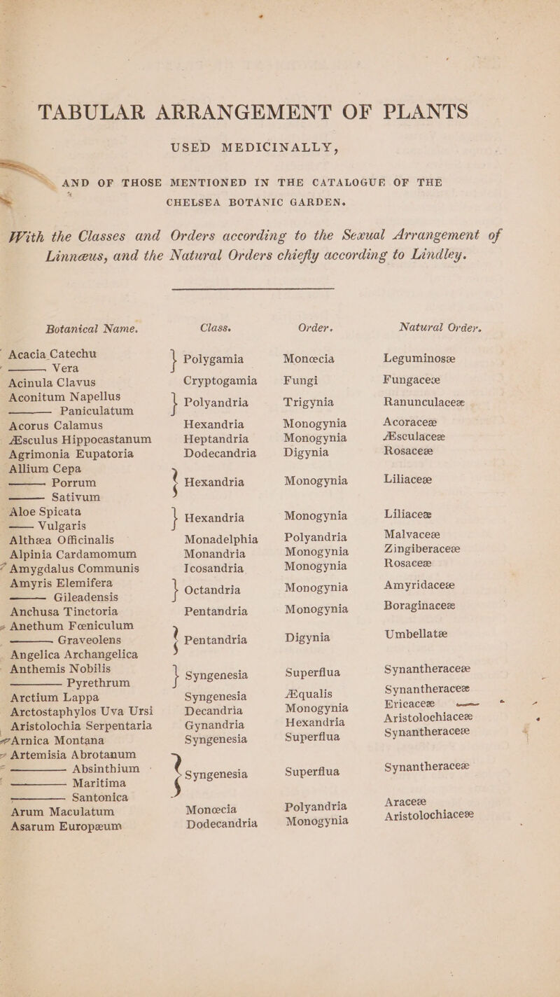 = Botanical Name. - Acacia Catechu ; Vera Acinula Clavus Aconitum Napellus Paniculatum Acorus Calamus - Zsculus Hippocastanum Agrimonia Eupatoria Allium Cepa Porrum Sativum Aloe Spicata — Vulgaris Altheea Officinalis Alpinia Cardamomum * Amygdalus Communis Amyris Elemifera Gileadensis Anchusa Tinctoria z Anethum Feeniculum Graveolens _ Angelica Archangelica - Anthemis Nobilis Pyrethrum Arctium Lappa ' Arctostaphylos Uva Ursi _ Aristolochia Serpentaria “Arnica Montana ~ Artemisia Abrotanum = ——_____. Apsinthium Maritima - Santonica Arum Maculatum Asarum Europeum Class. \ Polygamia Cryptogamia } Polyandria Hexandria Heptandria Dodecandria Hexandria } Hexandria Monadelphia Monandria Tcosandria. } Octandria Pentandria } Pentandria } Syngenesia Syngenesia Decandria Gynandria Syngenesia Syngenesia Moneecia Dodecandria Order. Monecia Fungi Trigynia Monogynia Monogynia Digynia Monogynia Monogynia Polyandria Monogynia Monogynia Monogynia Monogynia Digynia Superfiua AXqualis Monogynia Hexandria Superflua Superfiua Polyandria Monogynia Natural Order. Leguminosee Fungacece Ranunculaceze Acoraceze ésculacez Rosacez Liliaceze Liliaceze Malvaces Zingiberaceze Rosacese Amyridacez Boraginacez Umbellatz Synantheraceze Synantheracez Ericacez — Aristolochiacez Synantheraceze Synantheracez Aracee Aristolochiaceze