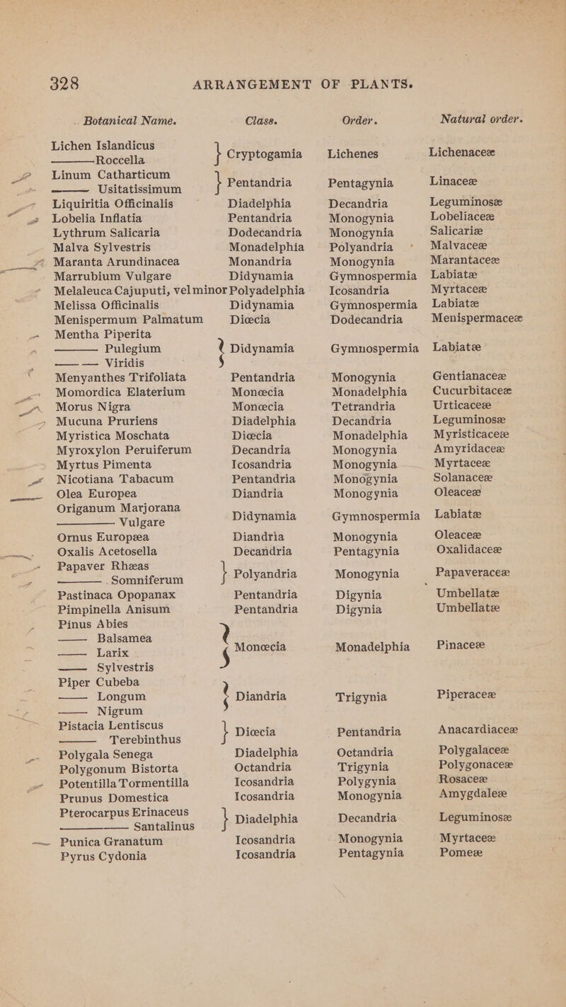 Botanical Name. Lichen Islandicus Roccella Linum Catharticum Usitatissinum Liquiritia Officinalis Lobelia Inflatia Lythrum Salicaria Malva Sylvestris Marrubium Vulgare Clase. } Cryptogamia } Pentandria Diadelphia Pentandria Dodecandria Monadelphia Monandria Didynamia Melissa Officinalis Mentha Piperita Pulegium — — Viridis Menyanthes Trifoliata Momordica Elaterium Morus Nigra Mucuna Pruriens Myristica Moschata Myroxylon Peruiferum Myrtus Pimenta Nicotiana Tabacum Olea Europea Origanum Marjorana Vulgare Ornus Europea Oxalis Acetosella Papaver Rheas .Somniferum Pastinaca Opopanax Pimpinella Anisum Pinus Abies Balsamea Larix Sylvestris Piper Cubeba Longum Nigrum Pistacia Lentiscus Terebinthus Polygala Senega Polygonum Bistorta Potentilla Tormentilla Prunus Domestica Pterocarpus Erinaceus —— Santalinus Punica Granatum Pyrus Cydonia I Didynamia Dicecia Didynamia Pentandria Monecia Moneecia Diadelphia Diecia Decandria Icosandria Pentandria Diandria Didynamia Diandria Decandria } Polyandria Pentandria Pentandria ; Moneecia ' Diandria } Dicecia Diadelphia Octandria Icosandria Icosandria } Diadelphia Teosandria Icosandria Orde. Lichenes Pentagynia Decandria Monogynia Monogynia Polyandria Monogynia Gymnospermia Icosandria Gymnospermia Dodecandria Gymnospermia Monogynia Monadelphia Tetrandria Decandria Monadelphia Monogynia Monogynia Monogynia Monogynia Gymnospermia Monogynia Pentagynia Monogynia Digynia Digynia Monadelphia Trigynia Pentandria Octandria Trigynia Polygynia Monogynia Decandria Monogynia Pentagynia Natural order. Lichenaceze Linaceze Leguminosz Lobeliacez Salicarie Malvacee Marantaceze Labiate Myrtacez Labiatze Menispermacez Labiatee Gentianacez Cucurbitacez Urticaceee Leguminose Myristicaceze Amyridacee Myrtacez Solanaceze Oleaceze Labiatze Oleacez Oxalidacese Papaveracee Umbellatee Pinacee Piperacee Anacardiaceze Polygalacez Polygonacez Rosaceze Amygdalez Leguminosz Myrtacez Pome