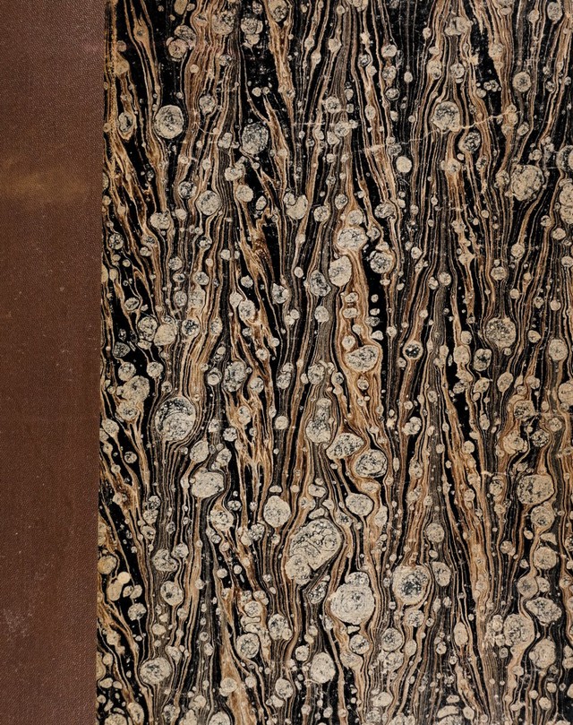 digitised image 1