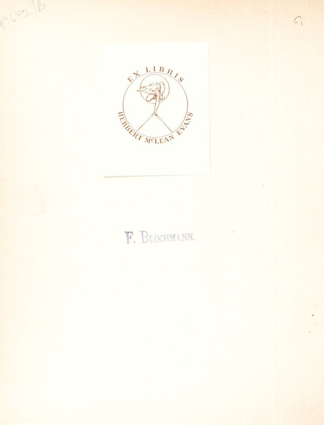 digitised image 2
