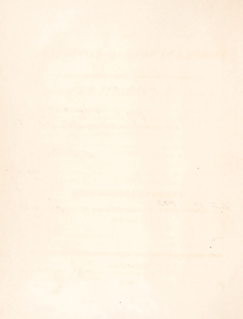 17 (52 f) af en dunkel Masse, men med en lysere rund Plet, som om det var en indsluttet Blære (Fig. 52 g), paa deres udadvendte Flade. I)e kugleformede Legemer, hvoraf der er 2 uden paa hver blæreformet Forhoining fra Tarmroret, ere omsluttede af en tynd glasklar Hinde (Fig. 52 h), paa hvis ydre Side man seer en Krands af smaae Frem- staaenheder (Fig. 52 k). Under den fortsatte Udvikling, som stedse gaaer for sig fra oven af, saaledes at man kan see dens successive Gang paa Rækken af de over hverandre stillede blæreformede Forhoininger, nærmer det 6verste glasklare Hylster sig med sit Indhold til Axelcellens Laag, og bryder igjennem dette, uden at Forbindelsen med Axelcellens Tarm¬ ror afbrydes. Senere hæver det næstoverste Hylster sig ligeledes over Axelcellen og tilsidst det hele Antal hvert i sin Tour, hvorved Polypen i Axelcellen synes at hentæres; men den til¬ dækker sig dog stedse igjen med et lladt Laag eller Hinde, som slutter tæt om Celleranden og de aftyndede Forbindelser med Tarmroret. Imidlertid aabner det formeentlige Hylster sig (Fig. 53 b); om Aabningen staaer en Krands af omtrent 12 uregelmæssig tandede Tentakler, og man seer nu at Hylsterne hverken ere meer eller mindre end kugleformede Individer, hos hvilke fire Længdekar, som fra Roden af Tentaklerne gaae til Bunden af Legemet, minde om de 4 Kar, der findes hos Corynernes mere udviklede Individer. Disse kugleformede Individer ere fuld udviklede Hunner, da de morke Kugler, som ligge inden i dem, ere Æg, og den lysere Plet en Kiimblære (I esicula Purkinji) i Æg¬ gene. Saasnart Fosteret er udviklet i disse, brister den tynde Æggehinde, og Foste¬ ret udgaaer, driver nogen Tid omkring inden for Moderdyret, men træder derpaa igjen¬ nem Aabningen ud i Vandet (Fig. 53 a), for at hæfte sig paa en fast Gjenstand og prove paa at grundlægge en ny Polypstok, idet den beskrevne Udvikling gjentager sig forfra. — Moderdyret bortdoer, eller ligesom henvisner, og dets Rolle er udspillet. — Samle vi de her udtalte Trådt, kunne vi i det samlede Billede af dem neppe see nogen Meta- morphose; vi have ogsaa her en Række af Kuld eller Generationer, som i en bestemt Orden folge paa hverandre, forat bringe Arten til fuldkommen Udvikling. — Den fimre- haarede Yngel, som ved at fasthæfte sig forst danner Polypens Grundvold, opstaaer alene af Æg, som udvikles i Hunnerne. Disse sidstnævnte fremammes mellem den ydre og indre Hud af Axelcellernes Polypper, som altsaa saaledes blive at betragte som de qvindelige Individers Ammer, medens de paa den anden Side atter selv ere fremammede af en for- udgaaende Generation af anderledes formede Polyper, der indtage Spidsen af Grenene, ere eensformede med og tillige maae ansees for eensartede med Stammepolypen, skjondt de synes opstaaede af denne ved den saakaldte Knopskydning. Der ere allerede i Videnskabens Eie en Mængde Iagttagelser, som berettiger os til at bringe ikke blot Campanularias, Plumularias og andre Tubularicrs men ogsaa Ser- fulariernes Udviklingshistorie i Samklang med den ovenfor givne Fremstilling, hvorvidt
