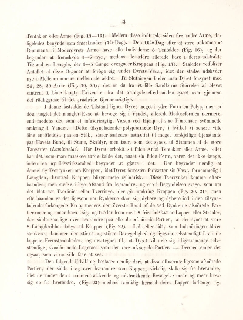 44 efterat den har krobet om paa den i nogen Tid. Under denne Omkryben paa linden yttrer llaleikten de samme stikkende Bevægelser, som man iagttager, naar den gaaer paa Objectbæreren under Mikroskopet; hæftede med Sugeskiven under Bugen og stottede tillige, soin del synes, med Bagkroppens omkring Ilaleroden gribende Sidedele, bevæge de nemlig Forkroppen og den i Forenden siddende Pig med megen Heftighed imod Sneg¬ lens Hud, hvilken formodenlig derved gjenncmbores, thi kort efter finder man Dyret ligesom indtrængt eller indsænket i den, og dækket med Sneglens Sliim. Forsaavidt * Halen ikke allerede iforveien er bleven bortslynget under stærke Bevægelser, medens Haleikten afvexlende hæfter sig eller kryber omkring paa Sneglen, saa skeer dette nu; og da derved det indre Halerdr oversnores, bliver der en ny Aabning paa Dyrets Bag¬ krop, gjennem hvilken en med Smaakugler fyldt Vædske udpresses; jeg maa med v. Siebold antage, at det er det for Distomaerne eiendommelige Udtommelsesorgan, som herved har faaet en Udmunding. Der kan da ikke være nogen Tvivl om, at den i dette Organ afsondrede og indsluttede Vædske har en ganske anden Betydning for Distomaen end for Haleikten og de med Haleikterne i det Foregaaende sammenlignede Ammer og Gammelammer, da den hos den førstnævnte udkastes Kroppen, bos de sidstnævnte der¬ imod forbliver i den. Den i Sneglehuden nedsænkede Cerearia afsondrer derpaa, som det synes af hele sin Overflade, en betydelig Mængde Sliim, i hvilket Dyret, som vi jo veed er en Disto- malarve, uophørlig bevæger sig rundtom samme Punkt, og i det Slimet efterhaanden storkner lidt, danner ligesom et Hylster om sig (Fig. 4 /O. Dette Puppehylster synes at fortykkes i sine Vægge af en tynd Hud, som Dyret udentvivl maa skyde af sig, da man stedse finder det omtalte pigformede Vaaben afkastet, saa at det under Larvens Kreds¬ gang indenfor Hylsteret fores fra det ene Sted til det andet, indtil det etsteds bliver hængende i Væggen, og deri dækkes af de senere afsatte Sliimlag, (sml. d i Figg. 4 dy 4 e og 4/). Allerede faa Timer efterat Larverne eller Haleikterne have sat sig fast paa Sneglenes Hud, ere de næsten alle forpuppede paa den ovenfor beskrevne Maade, og de ovale Pupper kunne ligge saa tæt ved Siden af hverandre (f. Ex. paa Sneglens Nakke, og Kapperanden), at et afklippet Hudstykke (Fig. 4 a), betragtet under Mikroskopet, gjen- giver Billedet af en med ovale Steen brolagt Gade i Miniatur, og dette har jeg iagttaget at være Tilfældet ikke allene med Snegle, som vare omgivne af en ringe Vandmængde (f. Ex. i Iagttagelsesgiaset), og altsaa udsatte for en stdrre Mængde af disse fjendske Væsener, men ogsaa med saadanne, som vare tagne i storre Vandmasser i selve Naturen. Efter Forpupningen synes Dyret at trække sig tilbage fra Hylsterets Vægge, saa at der bliver et lidet Mellemrum mellem det og Hylsteret, men det vedbliver dog ligefuldt at bevæge sig i maiujc Uger, om end maaskee med aftagende Livlighed. At der hen-