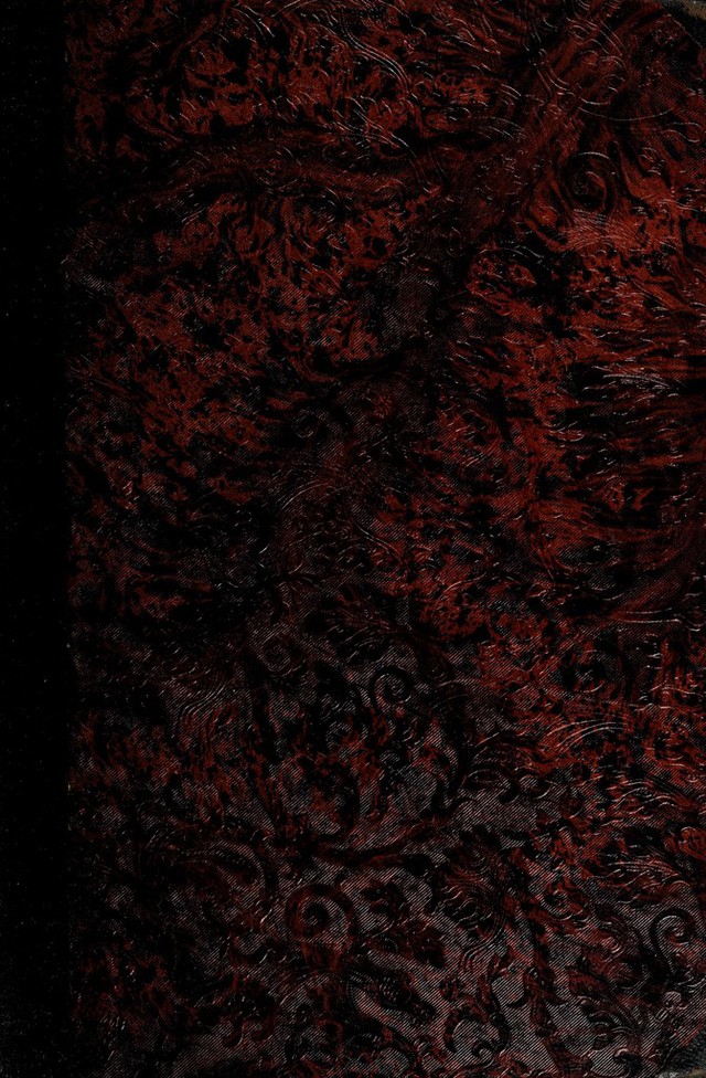 No text description is available for this image