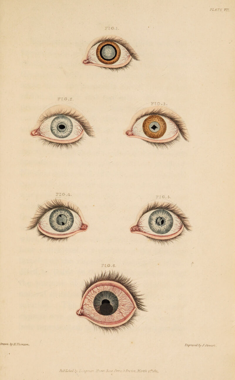 PLATE VTL. FI Cr.l. FIG-.2, FI Go 3. FIG, 6. tyrawn hy H.Thcmjon. f Engraved fy J Stewart, Pul'lishcdb, . no < ,-.e Orme '•/>< i:/i, Mariii