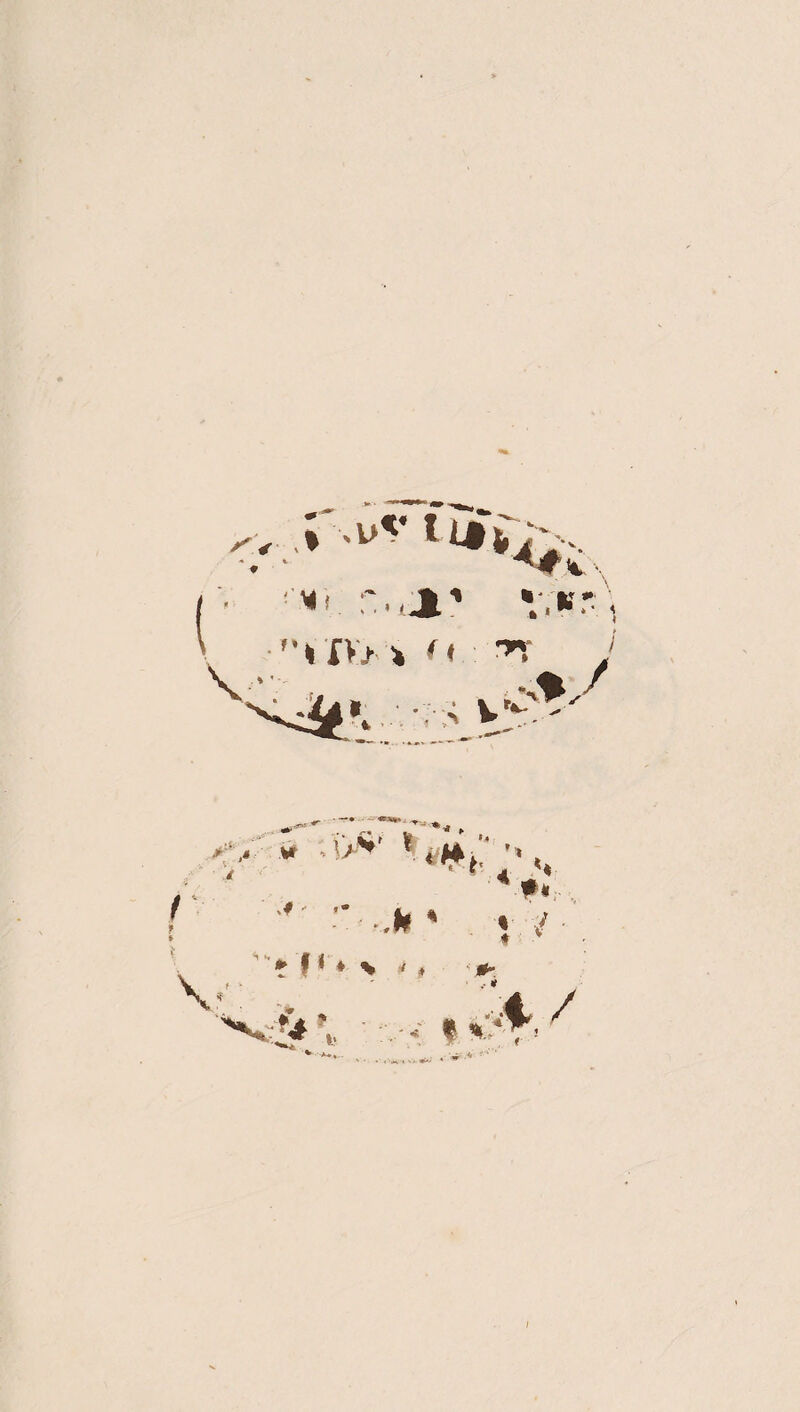 X«r ;\\>v u£i •Ml + - %; k 'VHn n *n X >.. „ <f E 4 , * ># V M % * f1 ♦ > m * ## % y ,- ¥ i«.. .4. /