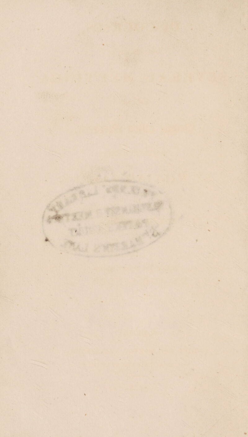 . V ;;,c- -*■ ■ ■ t ** \ \