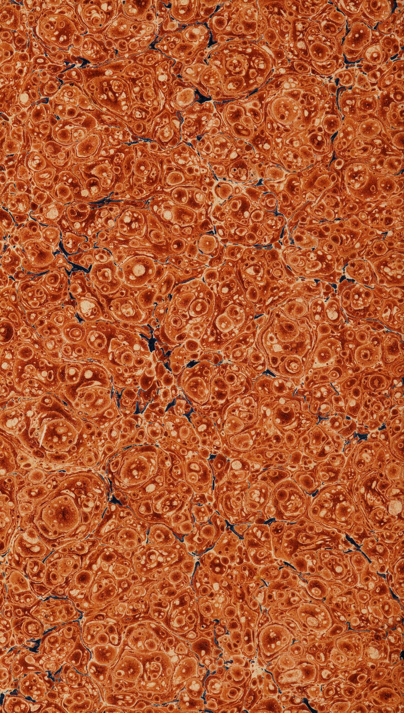 IXpSpiliiR MW k'T- -jyycfe--■-?*}*j*F_ 1r*~^*'•■y-j