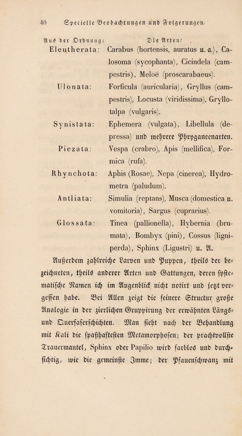 $lu3bet£)rbnung: £>ie Sitten: Eleutherata: Carabus (hortensis, auratus u. a.), Ca- Ul on ata: losoma (sycophanta), Cicindela (cam- pestris), Meloe (proscarabaeus). Forficula (auricularia), Gryllos (cam- pestris), Locusta (viridissima), Gryllo- talpa (vulgaris). Synistata: Ephemera (vulgata), Libellula (de- pressa) unb mehrere ^Ijrpganeenarten. Piezata: Vespa (crabro), Apis (mellifica), For- mica (rufa). Rhynchota: Aphis (Rosae), Nepa (cinerea), Hydro Anti iata: metra (paludum). Simulia (reptans), Musca (domestica u. vomitoria), Sargus (cuprarius). Glo s sa ta: Tinea (pallionella), Hybernia (bru- mata), Bombyx (pini), Cossus (ligni- perda), Sphinx (Ligustri) u. 51. 5lu$erbem $aIRret(f)e £aroen unb puppen, tytiU ber be* jetcfmeten, fytiU anberer 5lrten unb ©attungen, beren fpjie* ntattfcfje kanten td) {m 5lugenbltcf ntcpt notirt unb j[egt oer* geffen Babe. 23et 5ll£en $eigt bte feinere (Structur grofe Analogie in ber gier(tcfjen ©ruppirung ber erwähnten £äng$* unb Duerfaferfcptdjten. 50?an ftept nad) ber 33e£anblung mit ^tatt bte fpaftyaftefien SÄetamorpftofen; ber praddooftfte £rauermantef, Sphinx ober Papilio totrb farblod unb burcp* ftcptig, tote bte gemeinte 3mme; ber $Pfauenf$wan$ mit