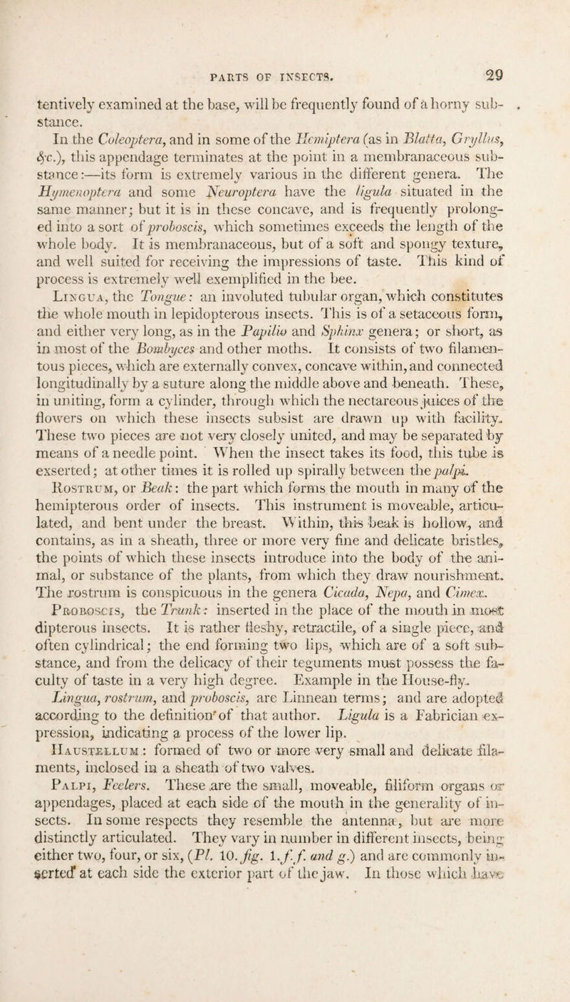 tentivelv examined at the base, will be frequently found of a horny sub¬ stance. In the Coleoptera, and in some of the Hemiptera (as in Blatta, Gryllus, 4'c.), this appendage terminates at the point in a membranaceous sub¬ stance:—its form is extremely various in the different genera. The Hymenoptera and some jVeuroptera have the ligula situated in the same manner; but it is in these concave, and is frequently prolong¬ ed into a sort of proboscis, which sometimes exceeds the length of the whole body. It is membranaceous, but of a soft and spongy texture, and well suited for receiving the impressions of taste. This kind of process is extremely well exemplified in the bee. Lingua, the Tongue: an involuted tubular organ, which constitutes the whole mouth in lepidopterous insects. This is of a setaceous form, and either very long, as in the Papilio and Sphinx genera; or short, as in most of the Bombyces and other moths. It consists of two filamen¬ tous pieces, which are externally convex, concave within, and connected longitudinally by a suture along the middle above and beneath. These, in uniting, form a cylinder, through which the nectareous juices of the flowers on which these insects subsist are drawn up with facility. These two pieces are not very closely united, and may be separated by means of a needle point. When the insect takes its food, this tube is exserted; at other times it is rolled up spirally between the palpi Rostrum, or Beak: the part which forms the mouth in many of the hemipterous order of insects. This instrument is moveable, articu¬ lated, and bent under the breast. Within, this beak is hollow, and contains, as in a sheath, three or more very fine and delicate bristles, the points of which these insects introduce into the body of the ani¬ mal, or substance of the plants, from which they draw nourishment. The rostrum is conspicuous in the genera Cicada, Nepa, and Cimex. Proboscis, the Trunk: inserted in the place of the mouth in most dipterous insects. It is rather fleshy, retractile, of a single piece, and often cylindrical; the end forming two lips, which are of a soft sub¬ stance, and from the delicacy7 of their teguments must possess the fa¬ culty of taste in a very high degree. Example in the House-fly. Lingua, rostrum, and proboscis, are Linnean terms; and are adopted according to the definition'of that author. Ligula is a Eabrician ex¬ pression, indicating a process of the lower lip. IIaustellum : formed of two or more very small and delicate fila¬ ments, inclosed in a sheath of two valves.. Palpi, Feelers. These .are the small, moveable, filiform organs or appendages, placed at each side of the mouth in the generality of in¬ sects. In some respects they resemble the antenna, but are more distinctly articulated. They vary in number in different insects, being either two, four, or six, (P/. 10.Jig. i.Jtf and g.) and are commonly in¬ serted* at each side the exterior part of the jaw. In those which have.