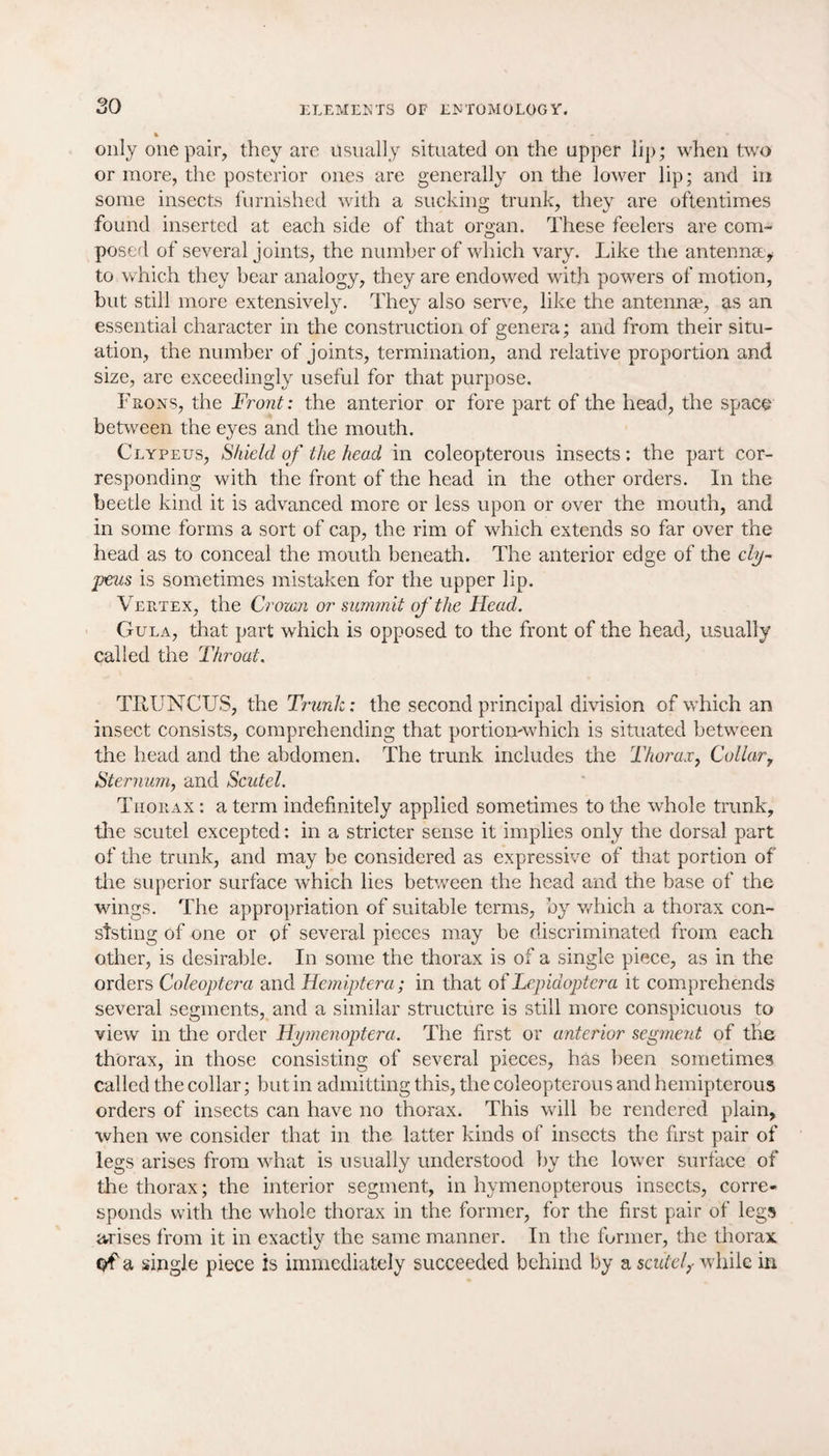 so * only one pair, they are usually situated on the upper lip; when two or more, the posterior ones are generally on the lower lip; and in some insects furnished with a sucking trunk, they are oftentimes found inserted at each side of that organ. These feelers are com¬ posed of several joints, the number of which vary. Like the antennas* to which they bear analogy, they are endowed with powers of motion, but still more extensively. They also serve, like the antenna1, as an essential character in the construction of genera; and from their situ¬ ation, the number of joints, termination, and relative proportion and size, are exceedingly useful for that purpose. Fro ns, the Front: the anterior or fore part of the head, the space between the eyes and the mouth. Clypeus, Shield of the head in coleopterous insects: the part cor¬ responding with the front of the head in the other orders. In the beetle kind it is advanced more or less upon or over the mouth, and in some forms a sort of cap, the rim of which extends so far over the head as to conceal the mouth beneath. The anterior edge of the cly¬ peus is sometimes mistaken for the upper lip. Vertex, the Crown or summit of the Head. Gula, that part which is opposed to the front of the head, usually called the Throat. TRUNCUS, the Trunk: the second principal division of which an insect consists, comprehending that portion-which is situated between the head and the abdomen. The trunk includes the Thorax, Collar, Sternum, and Scutel. Thorax : a term indefinitely applied sometimes to the whole trunk, tire scutel excepted: in a stricter sense it implies only the dorsal part of the trunk, and may be considered as expressive of that portion of the superior surface which lies between the head and the base of the wings. The appropriation of suitable terms, by which a thorax con¬ sisting of one or of several pieces may be discriminated from each other, is desirable. In some the thorax is of a single piece, as in the orders Coleoptcra and Hemiptera; in that of Lepiaoptera it comprehends several segments, and a similar structure is still more conspicuous to view in the order Hymenoptera. The first or anterior segment of the thorax, in those consisting of several pieces, has been sometimes called the collar; but in admitting this, the coleopterous and hemipterous orders of insects can have no thorax. This will be rendered plain, when we consider that in the latter kinds of insects the first pair of legs arises from what is usually understood by the lower surface of the thorax; the interior segment, in hymenopterous insects, corre¬ sponds with the whole thorax in the former, for the first pair of legs arises from it in exactlv the same manner. In the former, the thorax of a single piece is immediately succeeded behind by a scutelwhile in
