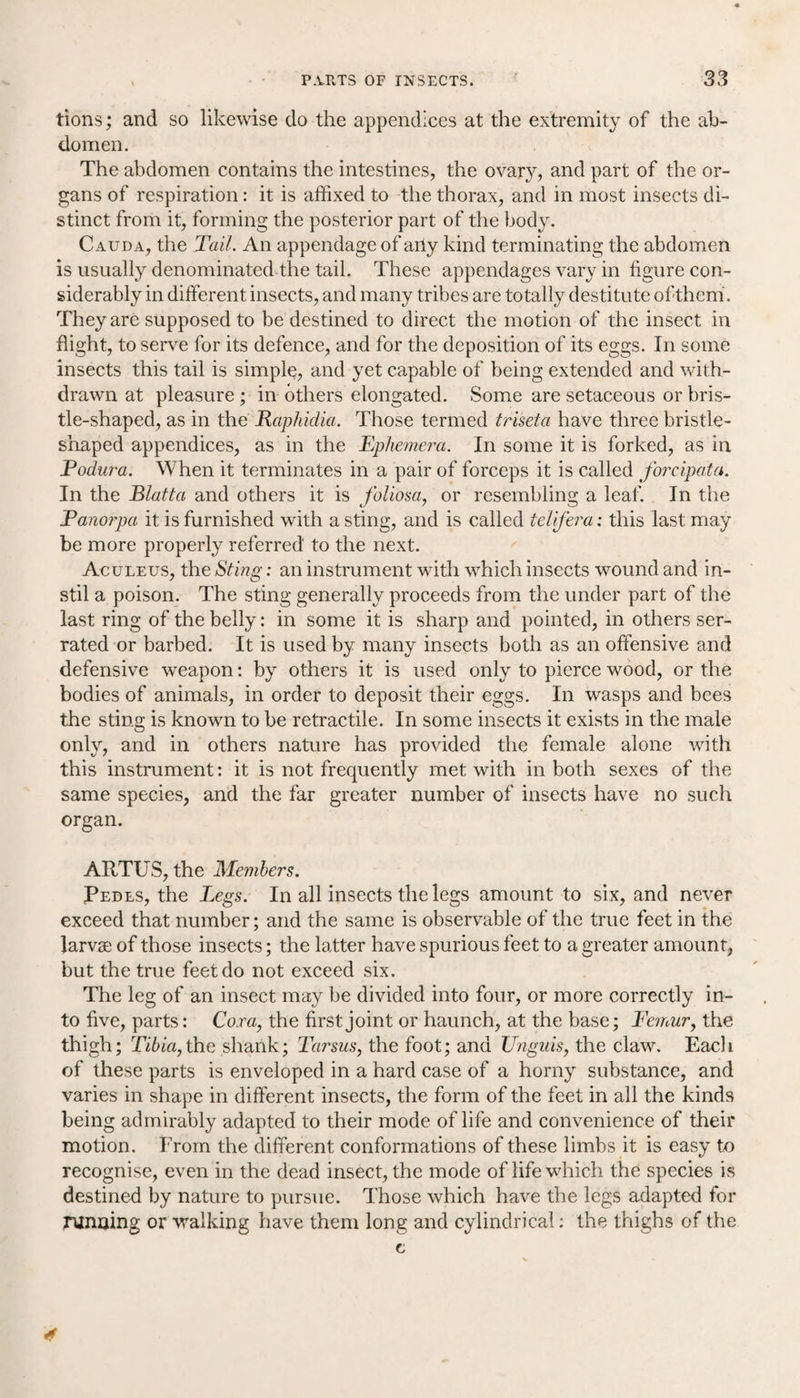 tions; and so likewise do the appendices at the extremity of the ab¬ domen. The abdomen contains the intestines, the ovary, and part of the or¬ gans of respiration: it is affixed to the thorax, and in most insects di¬ stinct from it, forming the posterior part of the body. Cauda, the Tail. An appendage of arly kind terminating the abdomen is usually denominated the tail. These appendages vary in figure con¬ siderably in different insects, and many tribes are totally destitute of them. They are supposed to be destined to direct the motion of the insect in flight, to serve for its defence, and for the deposition of its eggs. In some insects this tail is simple, and yet capable of being extended and with¬ drawn at pleasure ; in others elongated. Some are setaceous or bris¬ tle-shaped, as in the Raphidia. Those termed triseta have three bristle¬ shaped appendices, as in the Ephemera. In some it is forked, as in Podura. When it terminates in a pair of forceps it is called forcipata. In the Blatta and others it is foliosa, or resembling a leaf. In the Panorpa it is furnished with a sting, and is called telifera: this last may be more properly referred' to the next. Aculeus, the Sting: an instrument with wrhich insects wound and in¬ stil a poison. The sting generally proceeds from the under part of the last ring of the belly: in some it is sharp and pointed, in others ser¬ rated or barbed. It is used by many insects both as an offensive and defensive weapon: by others it is used only to pierce wood, or the bodies of animals, in order to deposit their eggs. In wasps and bees the sting is known to be retractile. In some insects it exists in the male only, and in others nature has provided the female alone with this instrument: it is not frequently met with in both sexes of the same species, and the far greater number of insects have no such organ. ARTUS, the Members. Pedes, the Legs. In all insects the legs amount to six, and never exceed that number; and the same is observable of the true feet in the larvae of those insects; the latter have spurious feet to a greater amount, but the true feet do not exceed six. The leg of an insect may be divided into four, or more correctly in¬ to five, parts: Cora, the first joint or haunch, at the base; Femur, the thigh; Tibia,the shank; Tarsus, the foot; and Unguis, the claw. Each of these parts is enveloped in a hard case of a horny substance, and varies in shape in different insects, the form of the feet in all the kinds being admirably adapted to their mode of life and convenience of their motion. From the different conformations of these limbs it is easy to recognise, even in the dead insect, the mode of life which the species is destined by nature to pursue. Those which have the legs adapted for running or walking have them long and cylindrical: the thighs of the