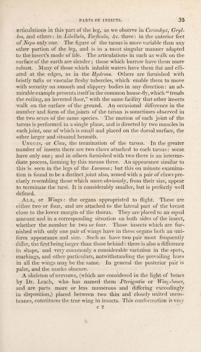 articulations in this part of the leg, as we observe in Cerambyx, Gryl- hts, and others: in Libellula, Forficula, fyc. three: in the anterior feet of Nepa only one. The figure of the tarsus is more variable than any other portion of the leg, and is in a most singular manner adapted to the insect’s mode of life. The articulations in such as walk on the surface of the earth are slender; those which burrow have them more robust. Many of those which inhabit waters have them Hat and cili¬ ated at the edges, as in the Hydrous. Others are furnished with bristly tufts or vascular fleshy tubercles, which enable them to move with security on smooth and slippery bodies in any direction: an ad¬ mirable example presents itself in the common house-fly, which “ treads the ceiling, an inverted floor,” with the same facility that other insects walk on the surface of the ground. An occasional difference in the number and form of thejoints of the tarsus is sometimes observed in the two sexes of the same species. The motion of each joint of the tarsus is performed in a single plane, and is directed by two muscles in each joint, one of which is small and placed on the dorsal surface, the other larger and situated beneath. Unguis, or Claw, the termination of the tarsus. In the greater number of insects there are two claws attached to each tarsus: some have only one; and in others furnished with two there is an interme¬ diate process, forming by this means three. An appearance similar to this is seen in the legs of the Lucanus; but this on minute examina¬ tion is found to be a distinct joint also, armed with a pair of claws pre¬ cisely resembling those which more obviously, from their size, appear to terminate the tarsi. It is considerably smaller, but is perfectly well defined. Al«, or Wings: the organs appropriated to flight. These are either two or four, and are attached to the lateral part of the breast close to the lower margin of the thorax. They are placed to an equal amount and in a corresponding situation on both sides of the insect, whether the number be two or four. Those insects which are fur¬ nished with only one pair of wings have in these organs both an uni¬ form appearance and size. Such as have two pair most frequently differ, the first being larger than those behind: there is also a difference in shape, and very commonly a considerable variation in the spots, markings, and other particulars, notwithstanding the prevailing hues in all the wings may be the same. In general the posterior pair is paler, and the marks obscure. A skeleton of nervures, (which are considered in the light of bones by Dr. Leach, who has named them JPterigostia or Wing-bones, and are parts more or less numerous and differing exceedingly in disposition,) placed between two thin and closely united mem¬ branes, constitutes the true wing in insects. This conformation is very c 2