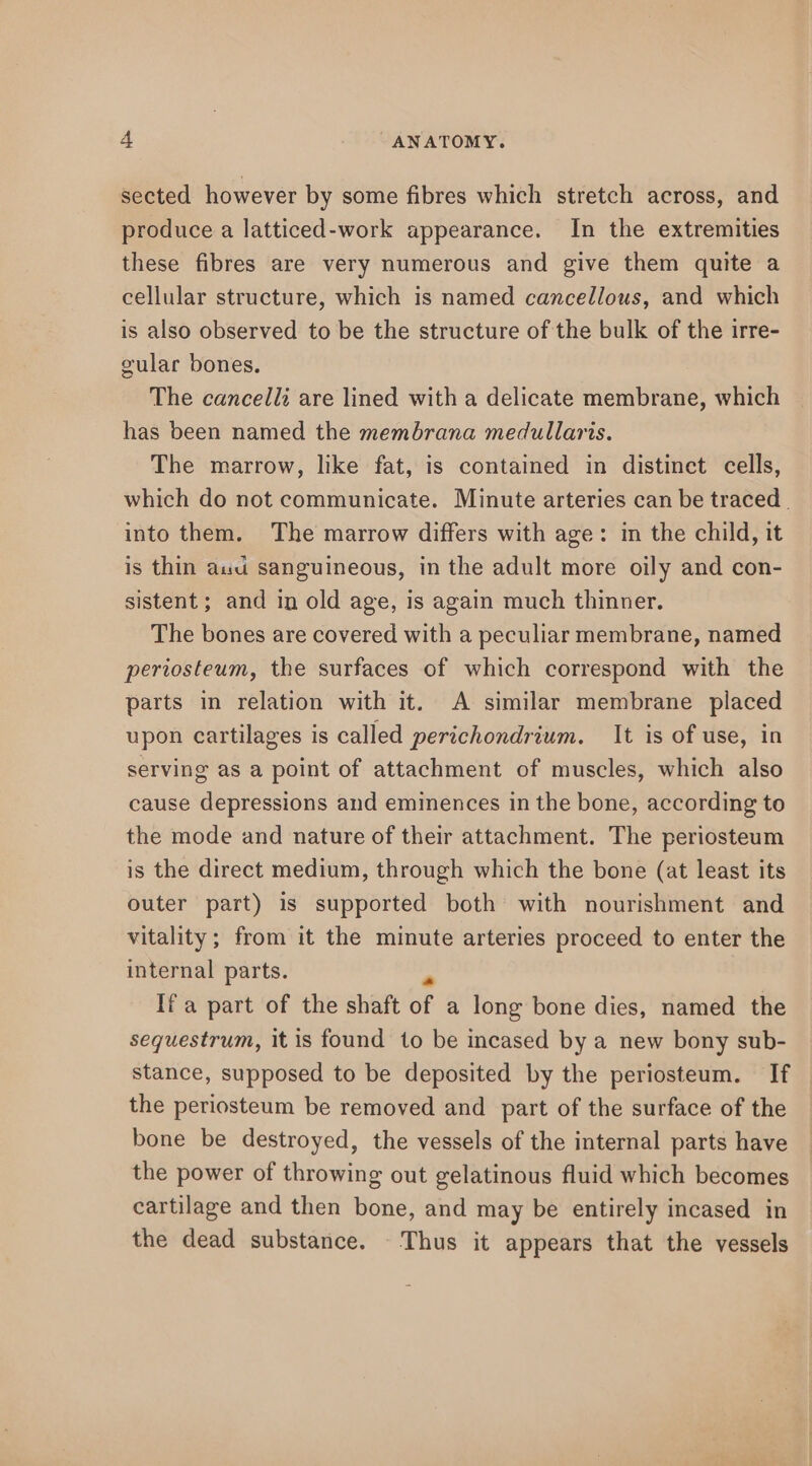 sected however by some fibres which stretch across, and produce a latticed-work appearance. In the extremities these fibres are very numerous and give them quite a cellular structure, which is named cancellous, and which is also observed to be the structure of the bulk of the irre- gular bones. The cancelli are lined with a delicate membrane, which has been named the membrana medullaris. The marrow, like fat, is contained in distinct cells, which do not communicate. Minute arteries can be traced. into them. The marrow differs with age: in the child, it is thin aud sanguineous, in the adult more oily and con- sistent; and in old age, is again much thinner. The bones are covered with a peculiar membrane, named periosteum, the surfaces of which correspond with the parts in relation with it. A similar membrane placed upon cartilages is called perichondrium. It is of use, in serving as a point of attachment of muscles, which also cause depressions and eminences in the bone, according to the mode and nature of their attachment. The periosteum is the direct medium, through which the bone (at least its outer part) is supported both with nourishment and vitality ; from it the minute arteries proceed to enter the internal parts. Ifa part of the shaft of a long bone dies, named the sequestrum, it is found to be incased by a new bony sub- stance, supposed to be deposited by the periosteum. If the periosteum be removed and part of the surface of the bone be destroyed, the vessels of the internal parts have the power of throwing out gelatinous fluid which becomes cartilage and then bone, and may be entirely incased in the dead substance. Thus it appears that the vessels