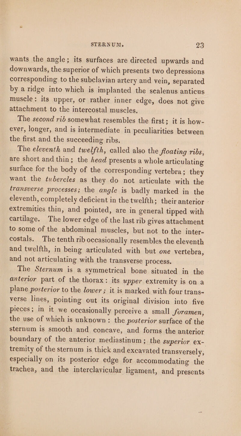 wants the angle; its surfaces are directed upwards and downwards, the superior of which presents two depressions corresponding to the subclavian artery and vein, separated by a ridge into which is implanted the sealenus anticus muscle: its upper, or rather inner edge, does not give attachment to the intercostal muscles. The second rib somewhat resembles the first; it is how- ever, longer, and is intermediate in peculiarities between the first and the succeeding ribs. The eleventh and twelfth, called also the floating ribs, are short and thin; the head presents a whole articulating surface for the body of the corresponding vertebra; they want the tubercles as they do not articulate with the transverse processes; the angle is badly marked in the eleventh, completely deficient in the twelfth; their anterior - extremities thin, and pointed, are in general tipped with cartilage. The lower edge of the last rib gives attachment to some of the abdominal muscles, but not to the inter- costals. The tenth rib occasionally resembles the eleventh and twelfth, in being articulated with but one vertebra, and not articulating with the transverse process. The Sternum is a symmetrical bone situated in the anterior part of the thorax: its upper extremity is on a plane posterior to the lower ; it is marked with four trans- verse lines, pointing out its original division into five pieces; in it we occasionally perceive a small foramen, the use of which is unknown: the posterior surface of the sternum is smooth and concave, and forms the anterior boundary of the anterior mediastinum: the superior ex- tremity of the sternum is thick and excavated transversely, especially on its posterior edge for accommodating the trachea, and the interclavicular ligament, and presents ©