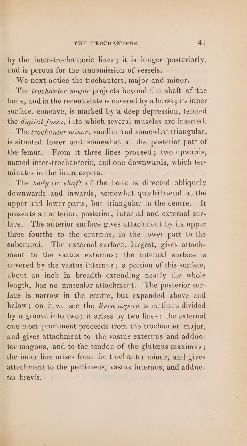 by the inter-trochanteric lines; it is longer posteriorly, and is porous for the transmission of vessels. We next notice the trochanters, major and minor. The trochanter major projects beyond the shaft of the bone, and in the recent. state is covered by a bursa; its inner surface, concave, is marked by a deep depression, termed the digital fossa, into which several muscles are inserted. The trochanter minor, smaller and somewhat triangular, is situated lower and somewhat at the posterior part of the femur. From it three lines proceed; two upwards, named inter-trochanteric, and one downwards, which ter- minates in the linea aspera. The body or shaft of the bone is directed obliquely downwards and inwards, somewhat quadrilateral at the upper and lower parts, but triangular in the centre. It presents an anterior, posterior, internal and external sur- face. The anterior surface gives attachment by its upper three fourths to the crureeus, in the lower part to the subcrurei. The external surface, largest, gives attach- ment to the vastus externus; the internal surface is covered by the vastus internus ; a portion of this surface, about an inch in breadth extending nearly the whole length, has no muscular attachment. The posterior sur- face is narrow in the centre, but expanded above and below; on it we see the linea aspera sometimes divided by a groove into two; it arises by two lines: the external one most prominent proceeds from the trochanter major, and gives attachment to the vastus externus and adduc- tor magnus, and to the tendon of the gluteeus maximus; the inner line arises from the trochanter minor, and gives _ attachment to the pectineeus, vastus internus, and adduc- tor brevis.