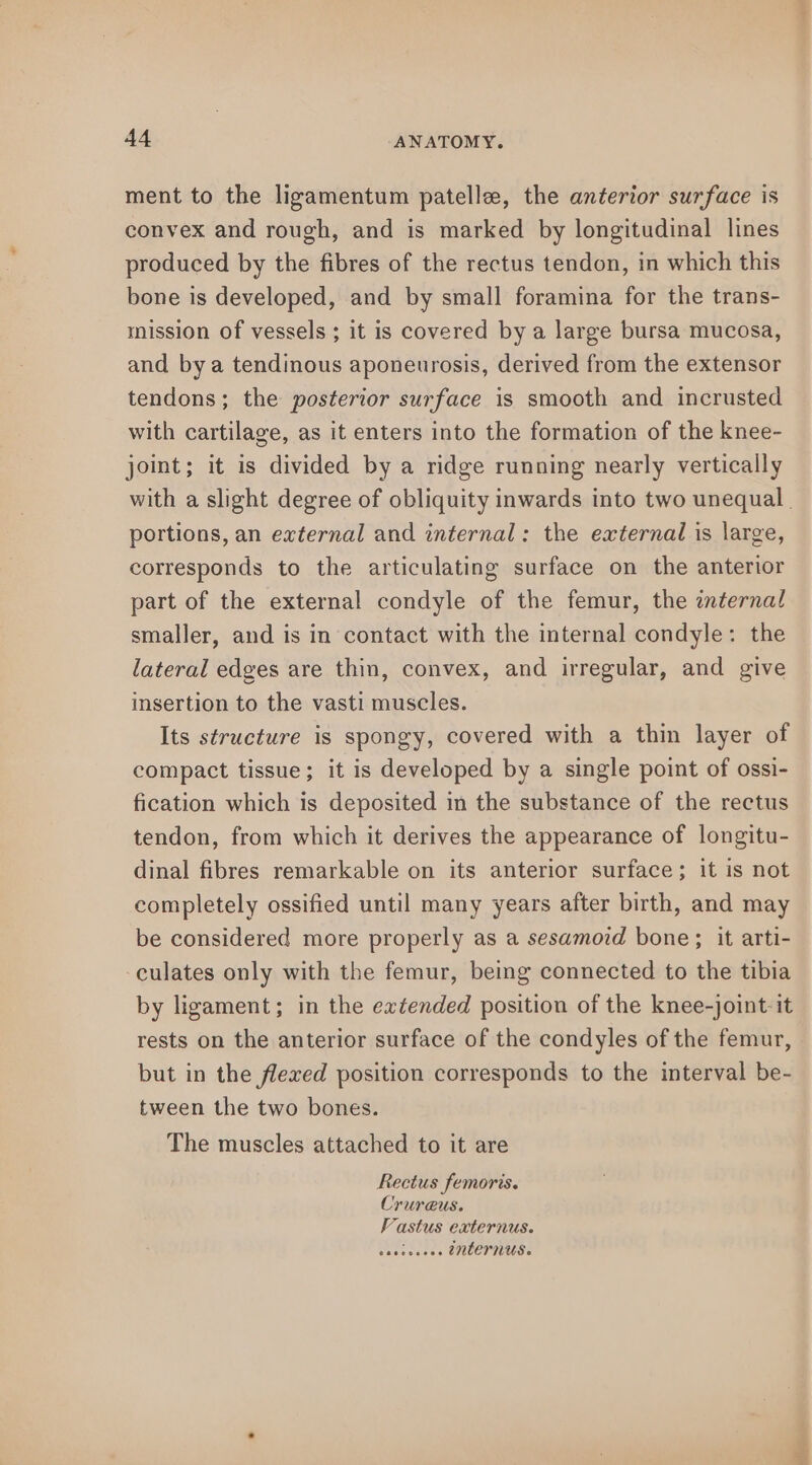 ment to the ligamentum patelle, the anterior surface is convex and rough, and is marked by longitudinal lines produced by the fibres of the rectus tendon, in which this bone is developed, and by small foramina for the trans- mission of vessels ; it is covered by a large bursa mucosa, and bya tendinous aponeurosis, derived from the extensor tendons; the posterior surface is smooth and incrusted with cartilage, as it enters into the formation of the knee- joint; it is divided by a ridge running nearly vertically with a slight degree of obliquity inwards into two unequal | portions, an external and internal: the external is large, corresponds to the articulating surface on the anterior part of the external condyle of the femur, the znternal smaller, and is in contact with the internal condyle: the lateral edges are thin, convex, and irregular, and give insertion to the vasti muscles. Its structure is spongy, covered with a thin layer of compact tissue; it is developed by a single point of ossi- fication which is deposited in the substance of the rectus tendon, from which it derives the appearance of longitu- dinal fibres remarkable on its anterior surface; it is not completely ossified until many years after birth, and may be considered more properly as a sesamord bone; it arti- culates only with the femur, being connected to the tibia by ligament; in the extended position of the knee-joint-it rests on the anterior surface of the condyles of the femur, but in the flexed position corresponds to the interval be- tween the two bones. The muscles attached to it are Rectus femoris. Crureus. Vastus externus. amescures enternus.