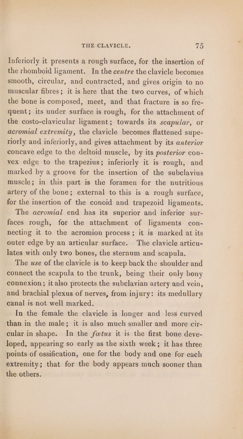 Inferiorly it presents a rough surface, for the insertion of the rhomboid ligament. In the centre the clavicle becomes smooth, circular, and contracted, and gives origin to no muscular fibres; it is here that the two curves, of which the bone is composed, meet, and that fracture is so fre- quent; its under surface is rough, for the attachment of the costo-clavicular ligament; towards its scapular, or acromial extremity, the clavicle becomes flattened supe- riorly and inferiorly, and gives attachment by its anterior concave edge to the deltoid muscle, by its posterior con- vex edge to the trapezius; inferiorly it is rough, and marked by a groove for the insertion of the subclavius muscle; in this part is the foramen for the nutritious artery of the bone; external to this is a rough surface, for the insertion of the conoid and trapezoid ligaments. The acromial end has its superior and inferior sur- faces rough, for the attachment of ligaments con- necting it to the acromion process ; it is marked at its outer edge by an articular surface. The clavicle articu- lates with only two bones, the sternum and scapula. The use of the clavicle is to keep back the shoulder and connect the scapula to the trunk, being their only bony connexion; it also protects the subclavian artery and vein, and brachial plexus of nerves, — injury: its medullary canal is not well marked. In the female the clavicle is longer and less curved than in the male; it is also much smaller and more cir- cular in shape. In the fetus it is the first bone deve- loped, appearing so early as the sixth week; it has three points of ossification, one for the body and one for each extremity; that for the body appears much sooner than the others.
