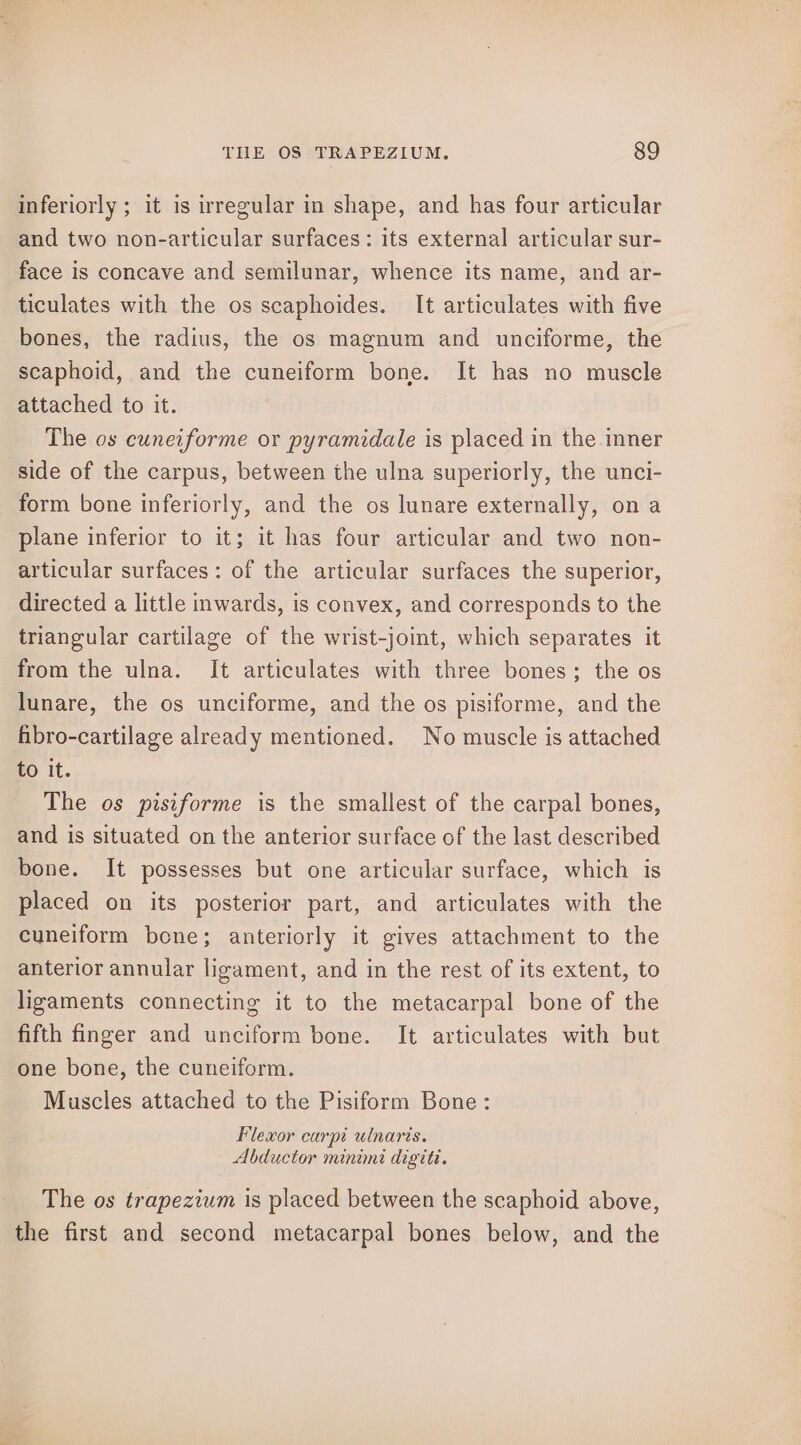 inferiorly ; it is irregular in shape, and has four articular and two non-articular surfaces: its external articular sur- face is concave and semilunar, whence its name, and ar- ticulates with the os scaphoides. It articulates with five bones, the radius, the os magnum and unciforme, the scaphoid, and the cuneiform bone. It has no muscle attached to it. The os cuneiforme or pyramidale is placed in the inner side of the carpus, between the ulna superiorly, the unci- form bone inferiorly, and the os lunare externally, on a plane inferior to it; it has four articular and two non- articular surfaces: of the articular surfaces the superior, directed a little inwards, is convex, and corresponds to the triangular cartilage of the wrist-joint, which separates it from the ulna. It articulates with three bones; the os lunare, the os unciforme, and the os pisiforme, and the fibro-cartilage already mentioned. No muscle is attached to it. The os pisiforme is the smallest of the carpal bones, and is situated on the anterior surface of the last described bone. It possesses but one articular surface, which is placed on its posterior part, and articulates with the cuneiform bene; anteriorly it gives attachment to the anterior annular ligament, and in the rest of its extent, to ligaments connecting it to the metacarpal bone of the fifth finger and unciform bone. It articulates with but one bone, the cuneiform. Muscles attached to the Pisiform Bone: Flexor carpi ulnaris. Abductor minimi digiti. The os trapezium is placed between the scaphoid above, the first and second metacarpal bones below, and the