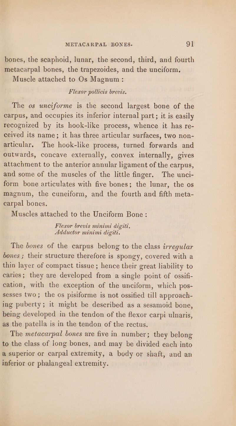 METACARPAL BONES. 9] bones, the scaphoid, lunar, the second, third, and fourth metacarpal bones, the trapezoides, and the unciform, Muscle attached to Os Magnum : Flexor pollicis brevis. The os unciforme is the second largest bone of the carpus, and occupies its inferior internal part; it is easily recognized by its hook-like process, whence it has re- ceived its name; it has three articular surfaces, two non- articular, The hook-like process, turned forwards and outwards, concave externally, convex internally, gives attachment to the anterior annular ligament of the carpus, and some of the muscles of the little finger. The unci- form bone articulates with five bones; the lunar, the os magnum, the cuneiform, and the fourth and fifth meta- carpal bones. Muscles attached to the Unciform Bone : Flexor brevis minimi digité. Adductor minimi digiti. The bones of the carpus belong to the class irregular bones ; their structure therefore is spongy, covered with a thin layer of compact tissue ; hence their great liability to caries; they are developed from a single point of ossifi- eation, with the exception of the unciform, which pos- sesses two; the os pisiforme is not ossified till approach- ing puberty; it might be described as a sesamoid bone, being developed in the tendon of the flexor carpi ulnaris, as the patella is in the tendon of the rectus. The metacarpal bones are five in number; they belong to the class of long bones, and may be divided each into a superior or carpal extremity, a body or shaft, and an inferior or phalangeal extremity.