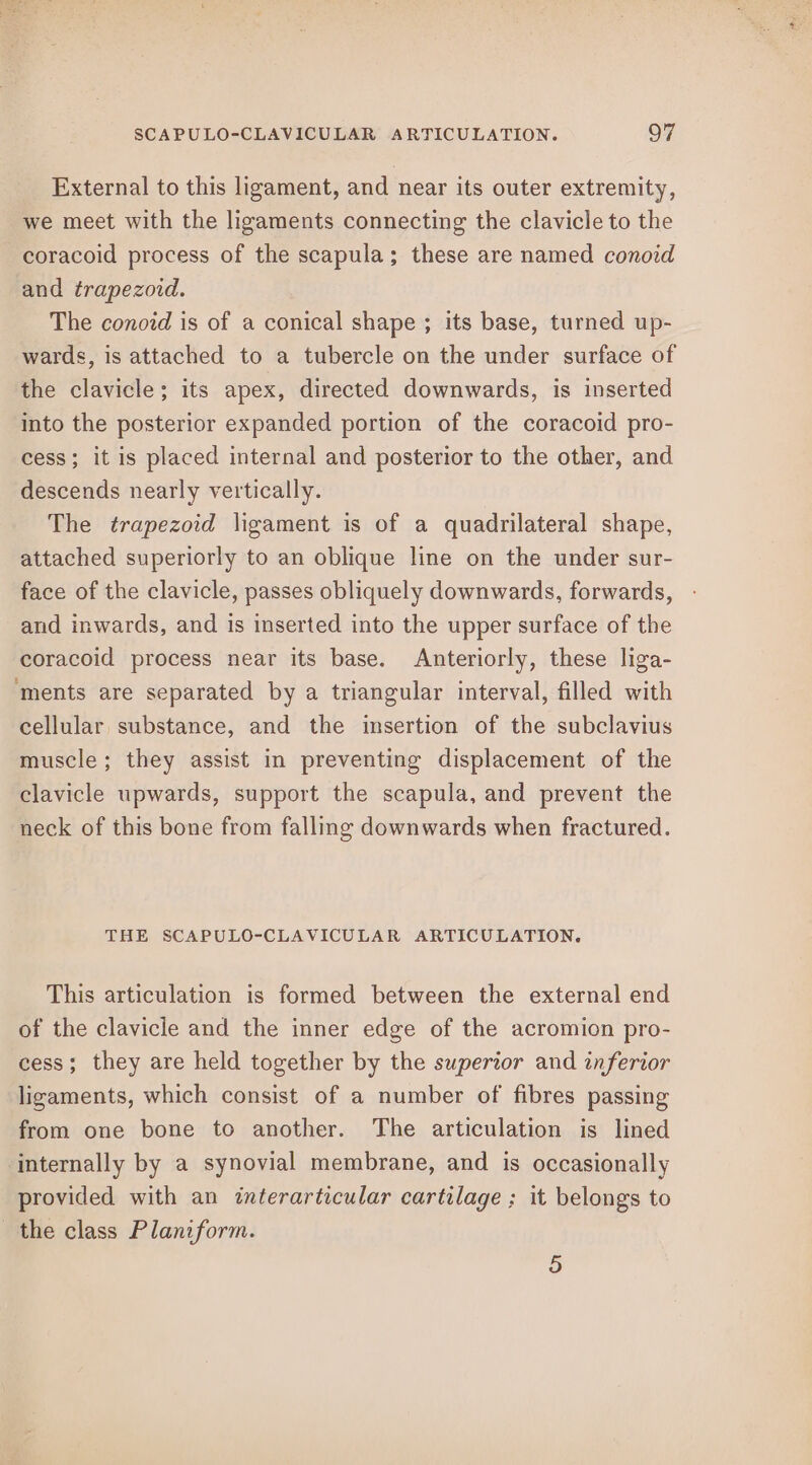 External to this ligament, and near its outer extremity, we meet with the ligaments connecting the clavicle to the coracoid process of the scapula; these are named conoid and trapezoid. The conozd is of a conical shape ; its base, turned up- wards, is attached to a tubercle on the under surface of the clavicle; its apex, directed downwards, is inserted into the posterior expanded portion of the coracoid pro- cess; it is placed internal and posterior to the other, and descends nearly vertically. The trapezoid ligament is of a quadrilateral shape, attached superiorly to an oblique line on the under sur- face of the clavicle, passes obliquely downwards, forwards, and inwards, and is inserted into the upper surface of the coracoid process near its base. Anteriorly, these liga- ‘ments are separated by a triangular interval, filled with cellular, substance, and the insertion of the subclavius muscle; they assist in preventing displacement of the clavicle upwards, support the scapula, and prevent the neck of this bone from falling downwards when fractured. THE SCAPULO-CLAVICULAR ARTICULATION. This articulation is formed between the external end of the clavicle and the inner edge of the acromion pro- cess; they are held together by the supertor and inferior ligaments, which consist of a number of fibres passing from one bone to another. The articulation is lined internally by a synovial membrane, and is occasionally provided with an interarticular cartilage ; it belongs to the class Planiform. 5