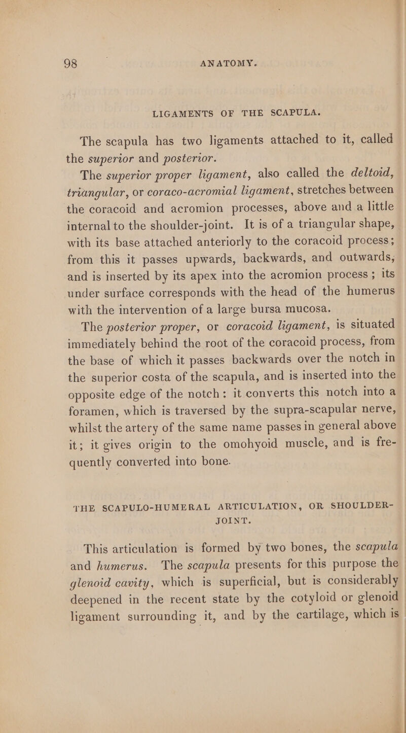 LIGAMENTS OF THE SCAPULA. The scapula has two ligaments attached to it, called the superior and posterior. The superior proper ligament, also called the deltoid, triangular, or coraco-acromial ligament, stretches between the coracoid and acromion processes, above and a little internal to the shoulder-joint. It is of a triangular shape, with its base attached anteriorly to the coracoid process; from this it passes upwards, backwards, and outwards, and is inserted by its apex into the acromion process ; its under surface corresponds with the head of the humerus with the intervention of a large bursa mucosa. The posterior proper, or coracoid ligament, is situated immediately behind the root of the coracoid process, from the base of which it passes backwards over the notch in the superior costa of the scapula, and is inserted into the opposite edge of the notch: it converts this notch into a foramen, which is traversed by the supra-scapular nerve, whilst the artery of the same name passes in general above it; it gives origin to the omohyoid muscle, and is fre- quently converted into bone. THE SCAPULO-HUMERAL ARTICULATION, OR SHOULDER- JOINT. This articulation is formed by two bones, the scapula and humerus. The scapula presents for this purpose the glenoid cavity, which is superficial, but is considerably deepened in the recent state by the cotyloid or glenoid ie