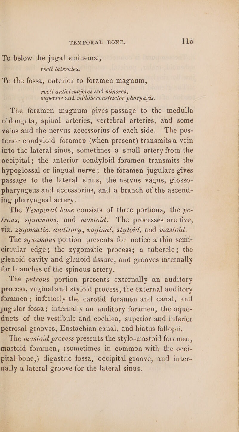 To below the jugal eminence, rectt laterales. To the fossa, anterior to foramen magnum, recti antict majores and minores, superior and middle constrictor pharyngis. The foramen magnum gives passage to the medulla oblongata, spinal arteries, vertebral arteries, and some veins and the nervus accessorius of each side. The pos- terior condyloid foramen (when present) transmits a vein into the lateral sinus, sometimes a small artery from the occipital; the anterior condyloid foramen transmits the hypoglossal or lingual nerve; the foramen jugulare gives passage to the lateral sinus, the nervus vagus, glosso- pharyngeus and accessorius, and a branch of the ascend- ing pharyngeal artery. The Temporal bone consists of three portions, the pe- trous, squamous, and mastoid. The processes are five, viz. zygomatic, auditory, vaginal, styloid, and mastoid. The squamous portion presents for notice a thin semi- circular edge; the zygomatic process; a tubercle; the glenoid cavity and glenoid fissure, and grooves internally for branches of the spinous artery. The petrous portion presents externally an auditory process, vaginal and styloid process, the external auditory foramen; inferiorly the carotid foramen and canal, and jugular fossa; internally an auditory foramen, the aque- ducts of the vestibule and cochlea, superior and inferior petrosal grooves, Eustachian canal, and hiatus fallopii. The mastoid process presents the stylo-mastoid foramen, mastoid foramen, (sometimes in common with the occi- pital bone,) digastric fossa, occipital groove, and inter- nally a lateral groove for the lateral sinus.