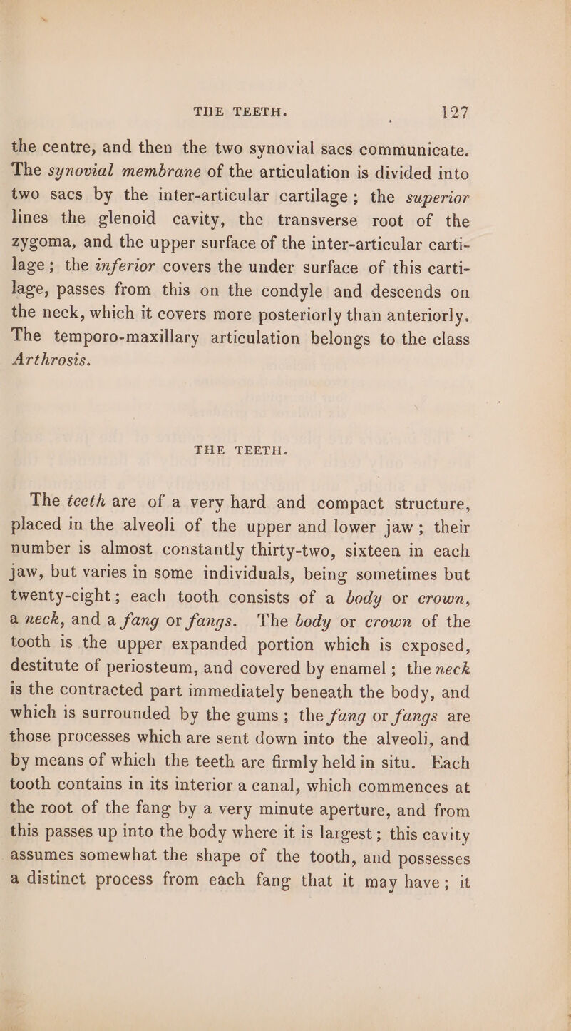 the centre, and then the two synovial sacs communicate. The synovial membrane of the articulation is divided into two sacs by the inter-articular cartilage; the superior lines the glenoid cavity, the transverse root of the zygoma, and the upper surface of the inter-articular carti- lage; the inferior covers the under surface of this carti- lage, passes from this on the condyle and descends on the neck, which it covers more posteriorly than anteriorly. The temporo-maxillary articulation belongs to the class Arthrosis. THE TEETH. The teeth are of a very hard and compact structure, placed in the alveoli of the upper and lower jaw; their number is almost constantly thirty-two, sixteen in each jaw, but varies in some individuals, being sometimes but twenty-eight; each tooth consists of a body or crown, a neck, and a fang or fangs. The body or crown of the tooth is the upper expanded portion which is exposed, destitute of periosteum, and covered by enamel ; the neck is the contracted part immediately beneath the body, and which is surrounded by the gums; the fang or fangs are those processes which are sent down into the alveoli, and by means of which the teeth are firmly held in situ. Each tooth contains in its interior a canal, which commences at the root of the fang by a very minute aperture, and from this passes up into the body where it is largest ; this cavity assumes somewhat the shape of the tooth, and possesses a distinct process from each fang that it may have; it